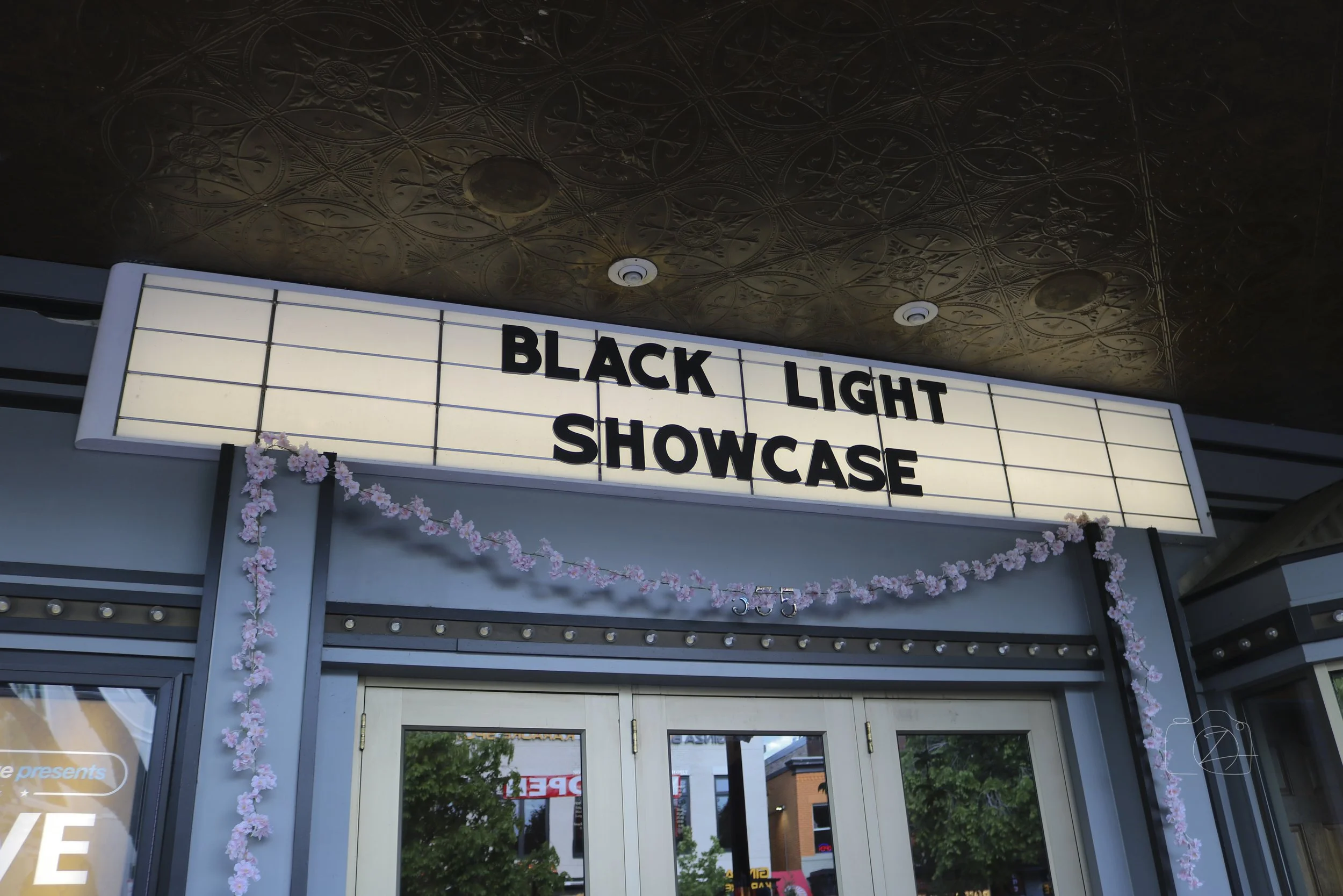 Black Light photography-317.jpg