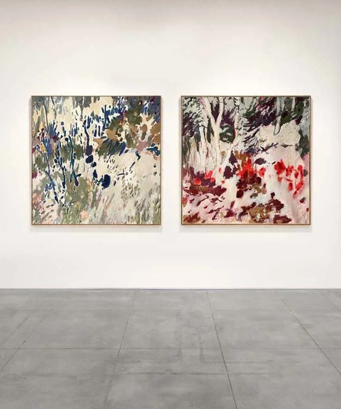 riss adobe3.jpg