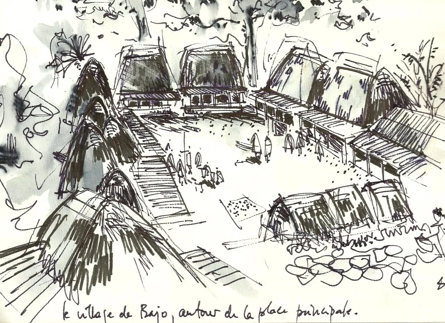 Dessin d'observation