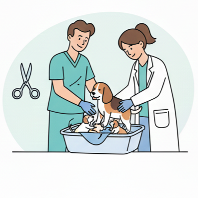 A veterinarian and a veterinarian technician examine a puppy during a check-up, with medical scissors also visible in the scene.