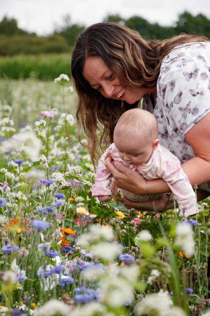 Lichfield Maize Maze 2025_LQ-024.jpg