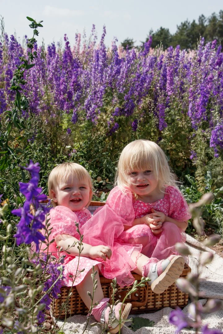 Chelsea Hodges - Sneak Peek-2.jpg