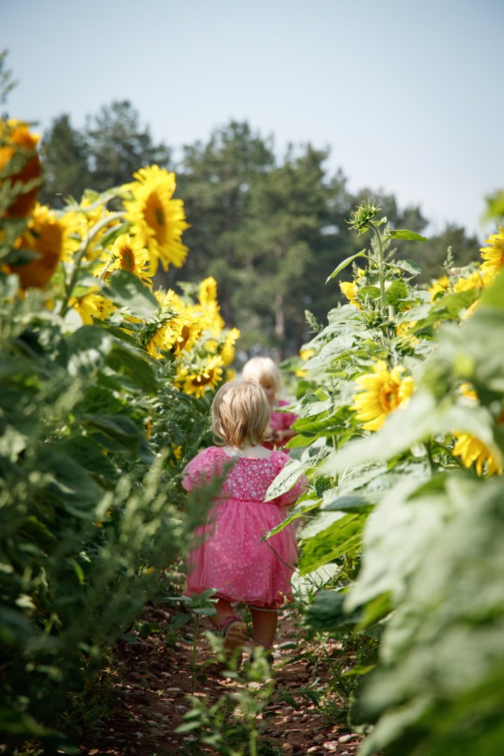 Chelsea Hodges - Sneak Peek-11.jpg