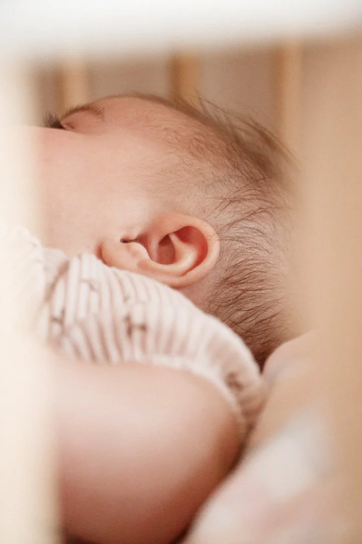 Amelia 13 LQ -04.jpg