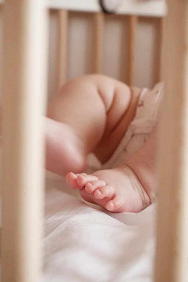 Amelia 13 LQ -07.jpg