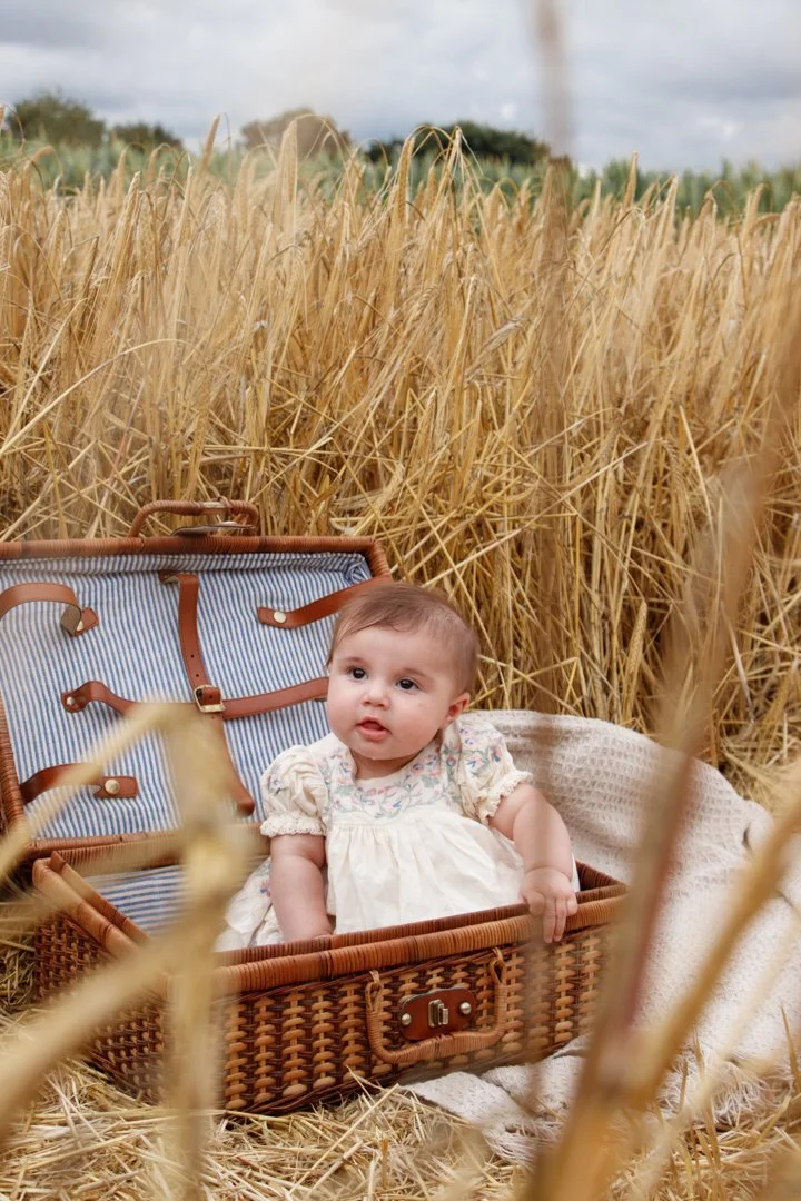 Sunflower Fields WEB -063.jpg
