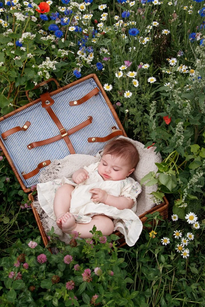 Sunflower Fields WEB -209.jpg