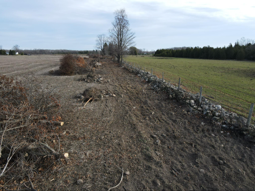 A rural landscape with a partly cleared dirt path running through fields and trees, some of which are bare, under a cloudy sky.