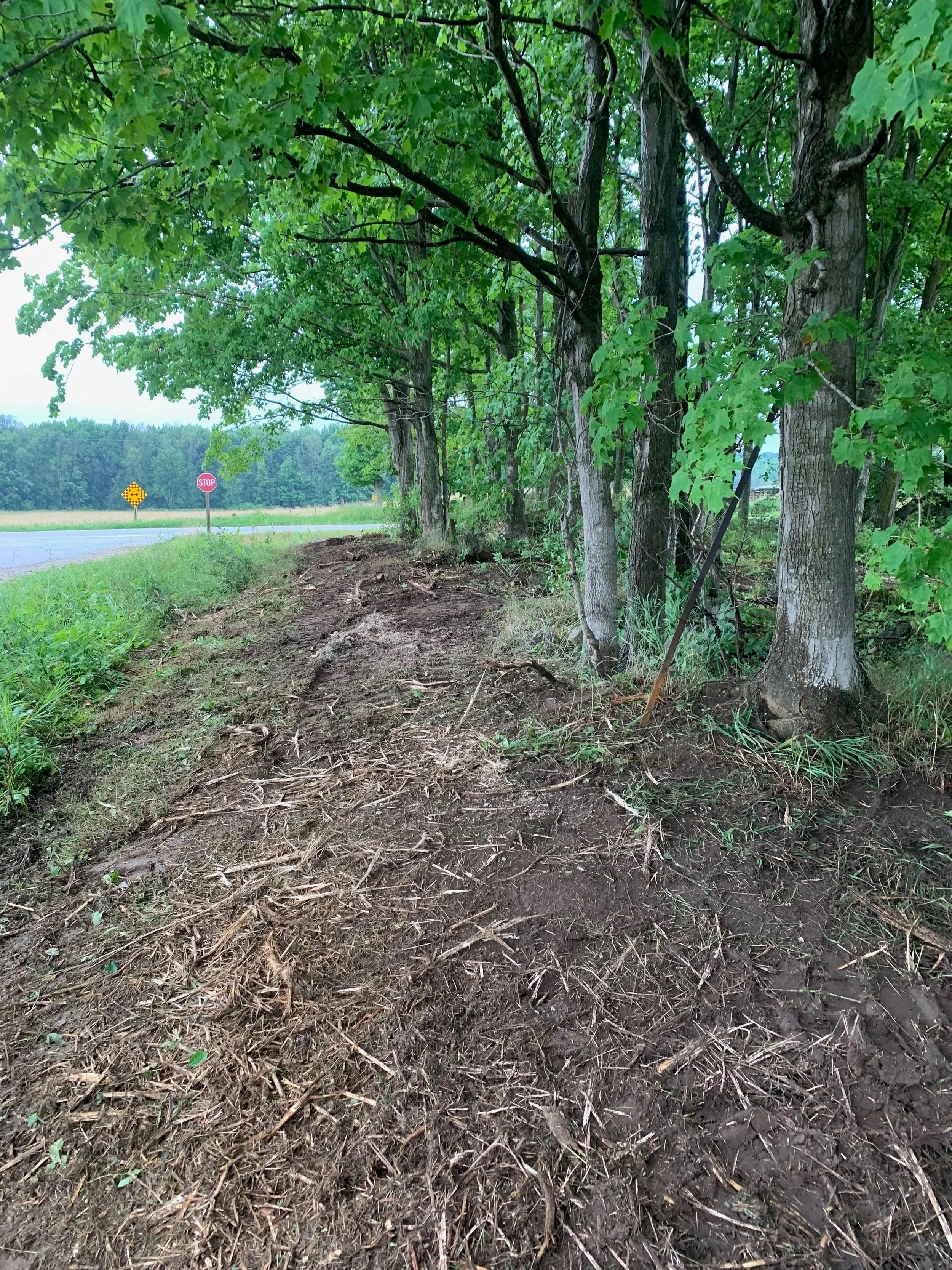 The image shows a dirt trail alongside a row of trees with green foliage. In the background, there are stop and warning signs by a road, and a forested area beyond the road.