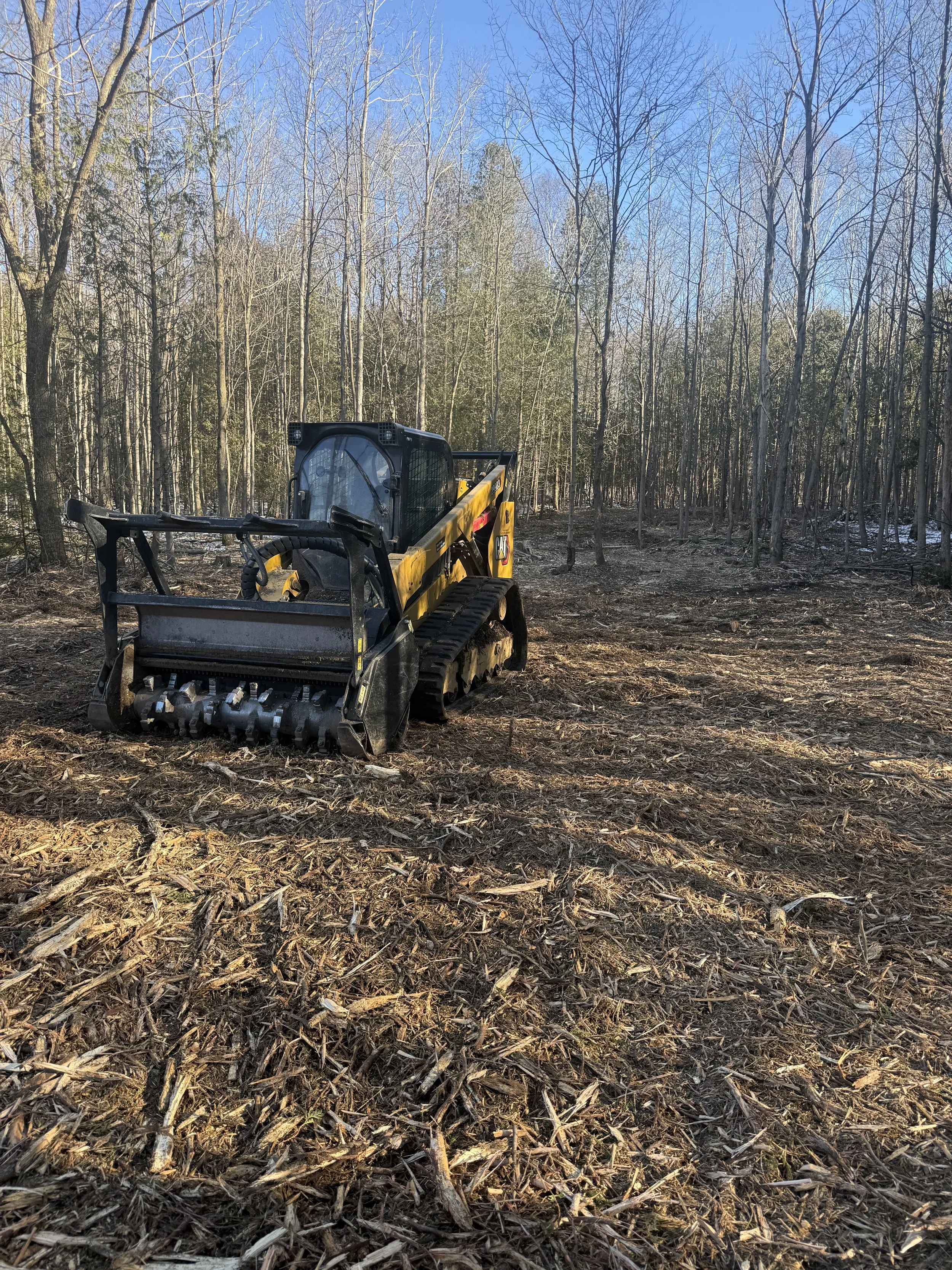 A yellow bulldozer parked on a cleared patch of land with a forest of leafless trees in the background under a clear blue sky.