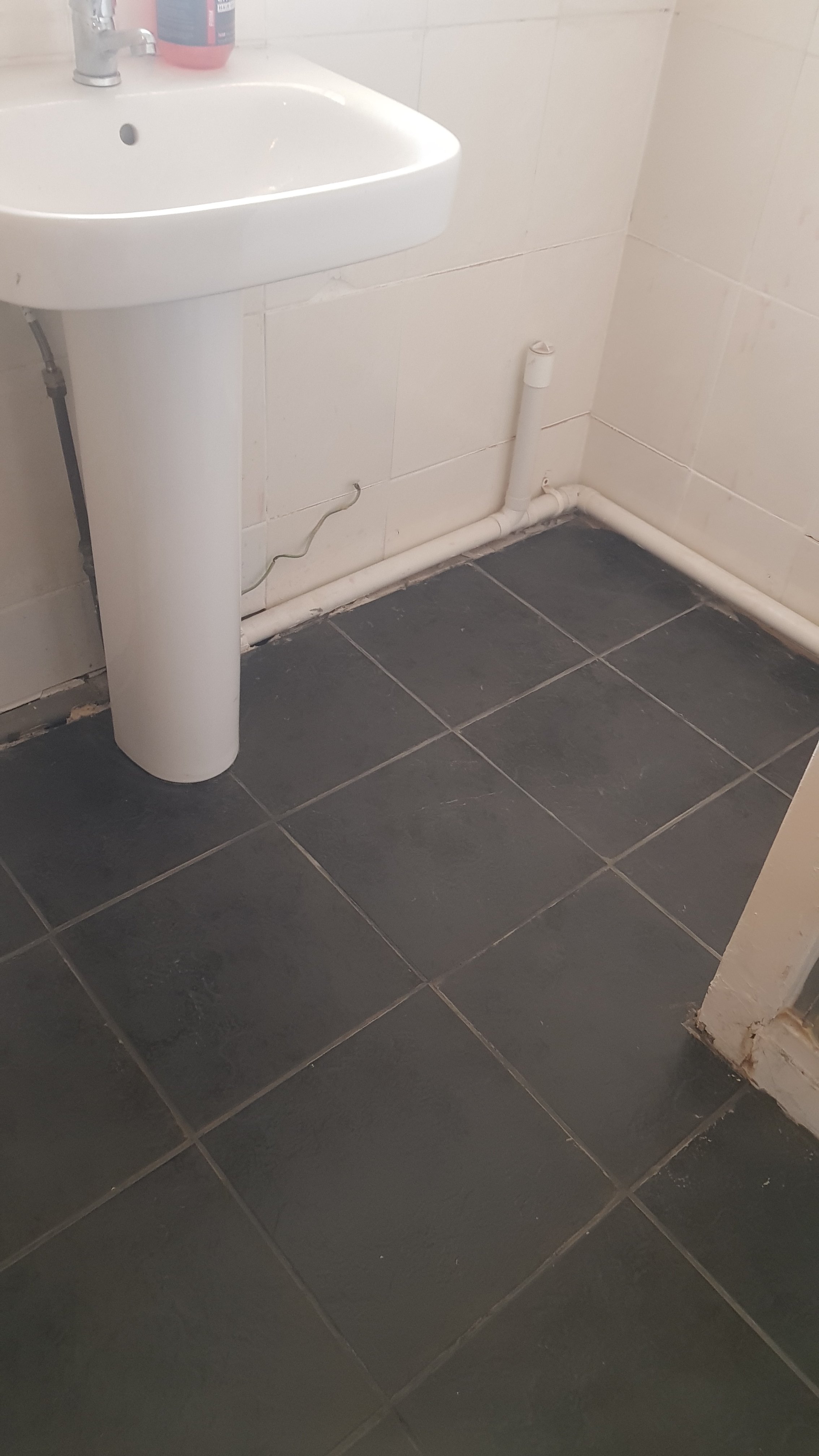 Tiling Portrait (4).jpg