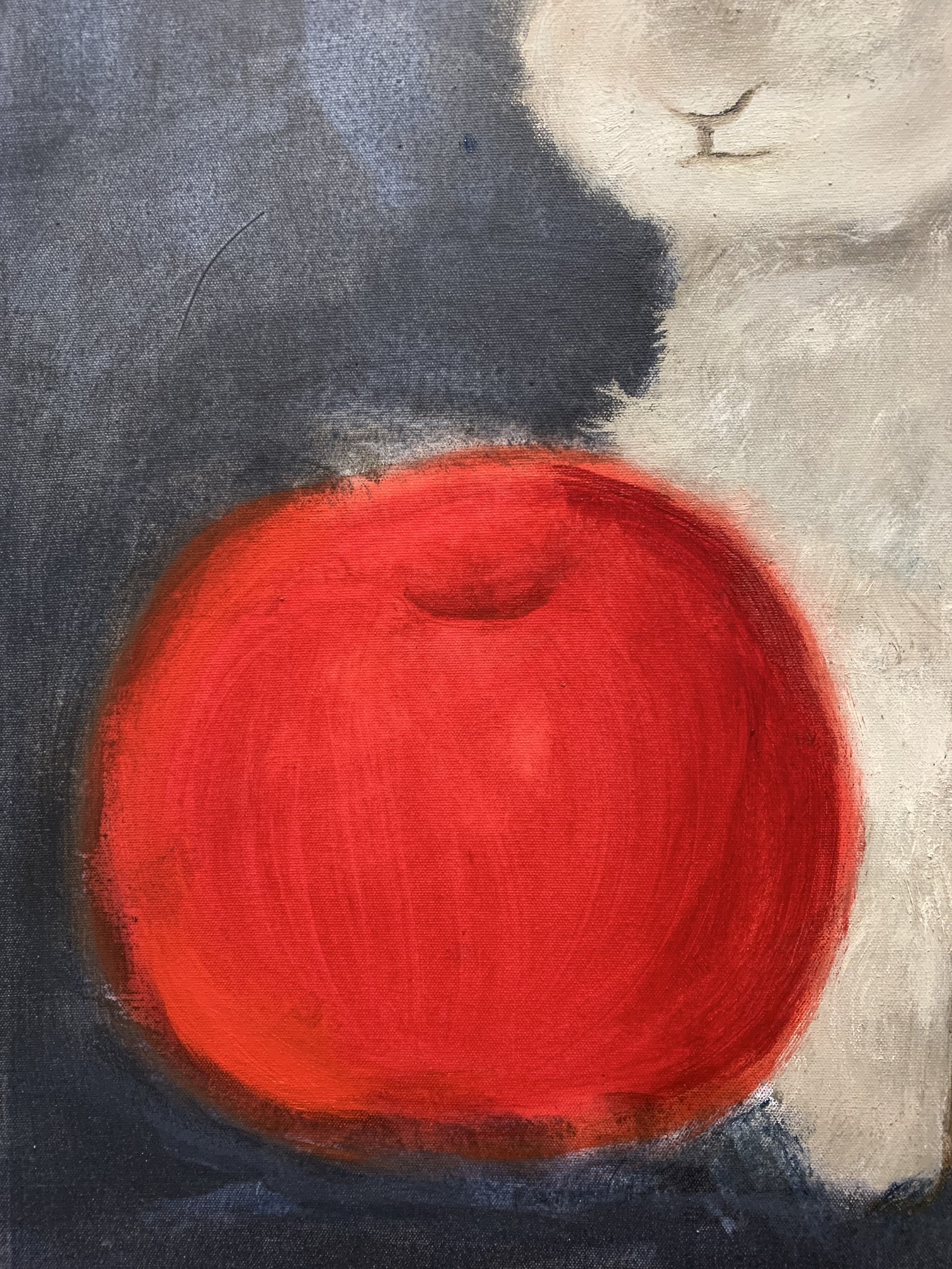 RABBIT AND APPLE

oil
30"x36"