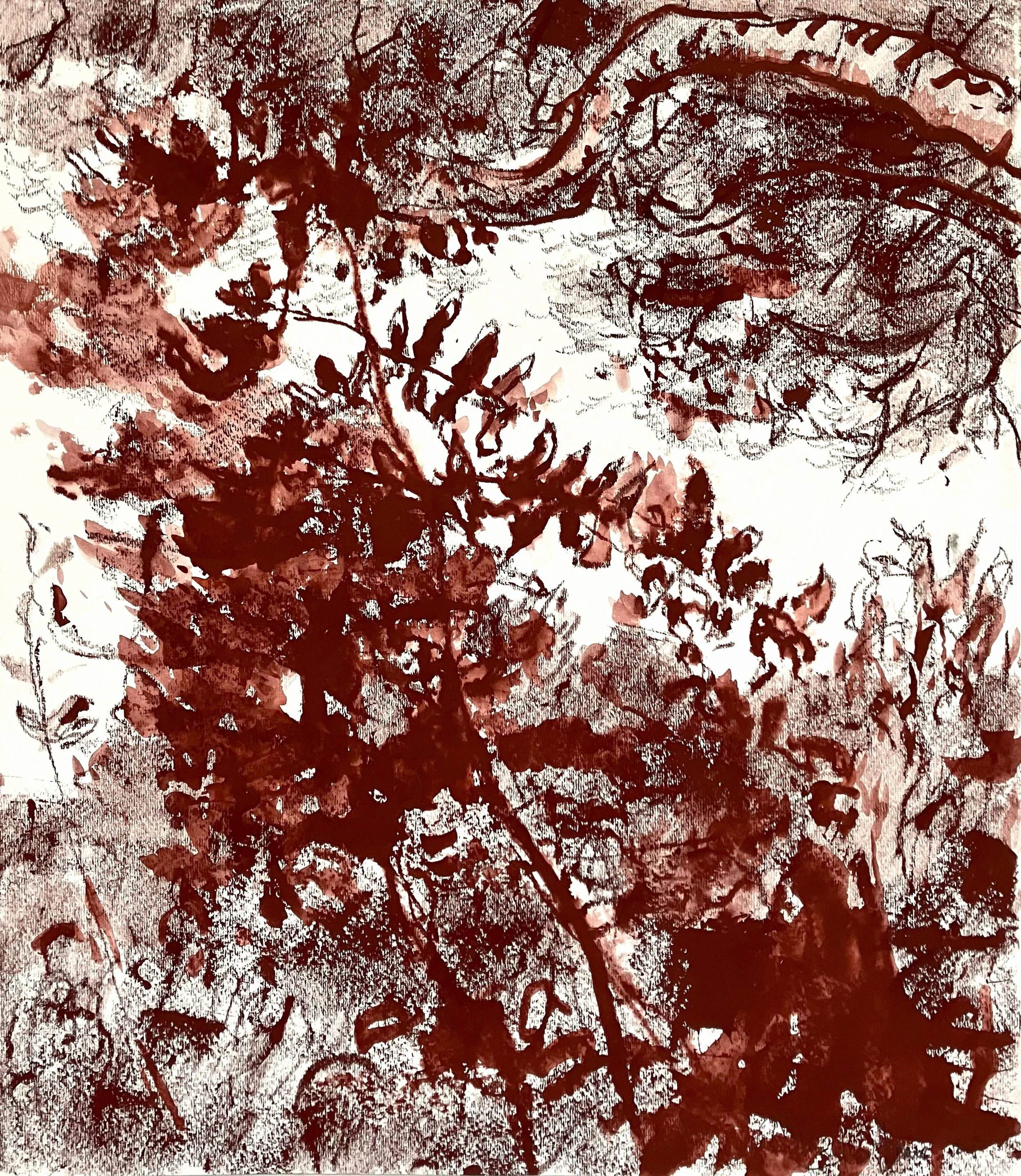 Hawthorne Drawing V