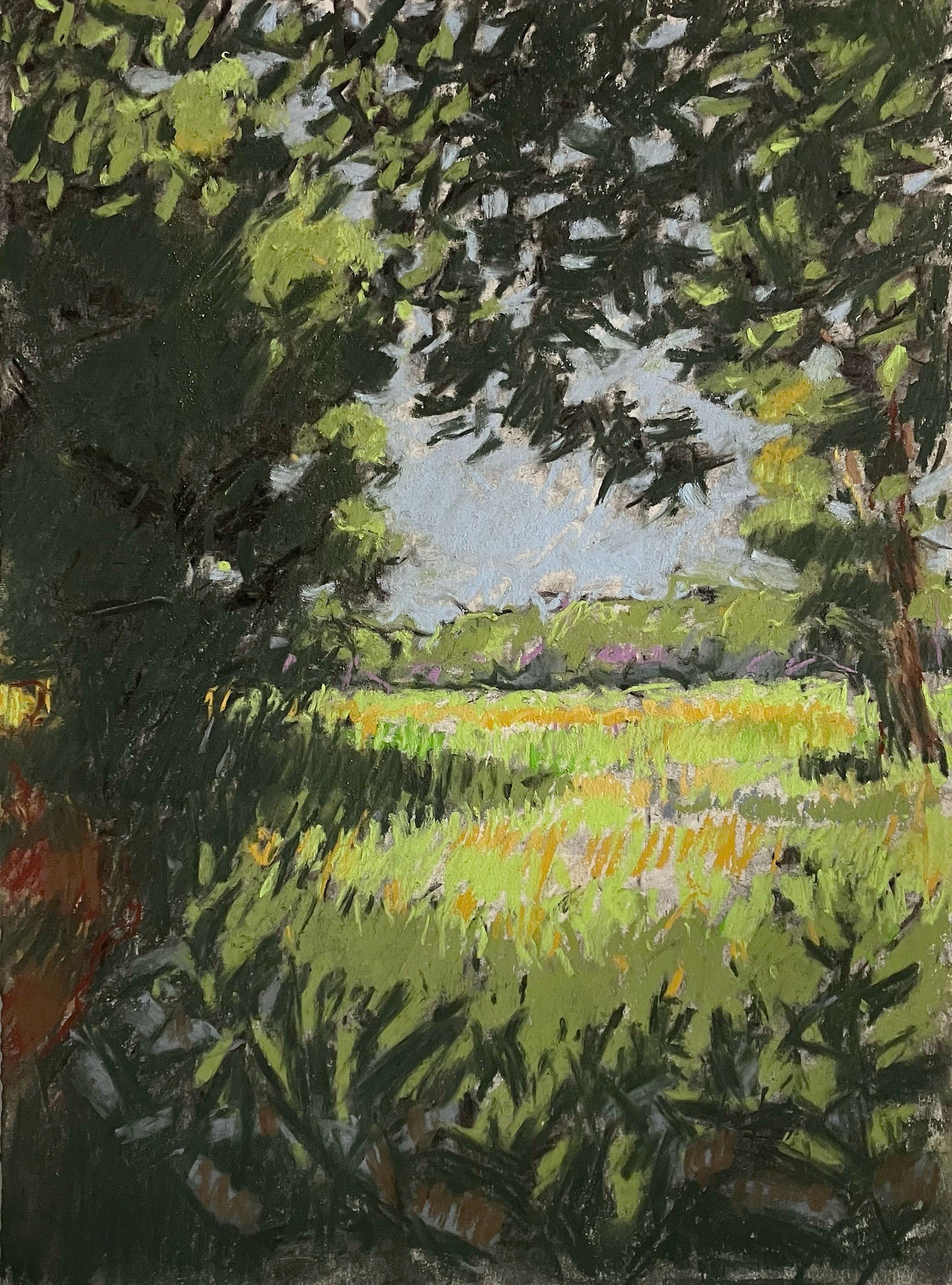 Valley Drawing IV