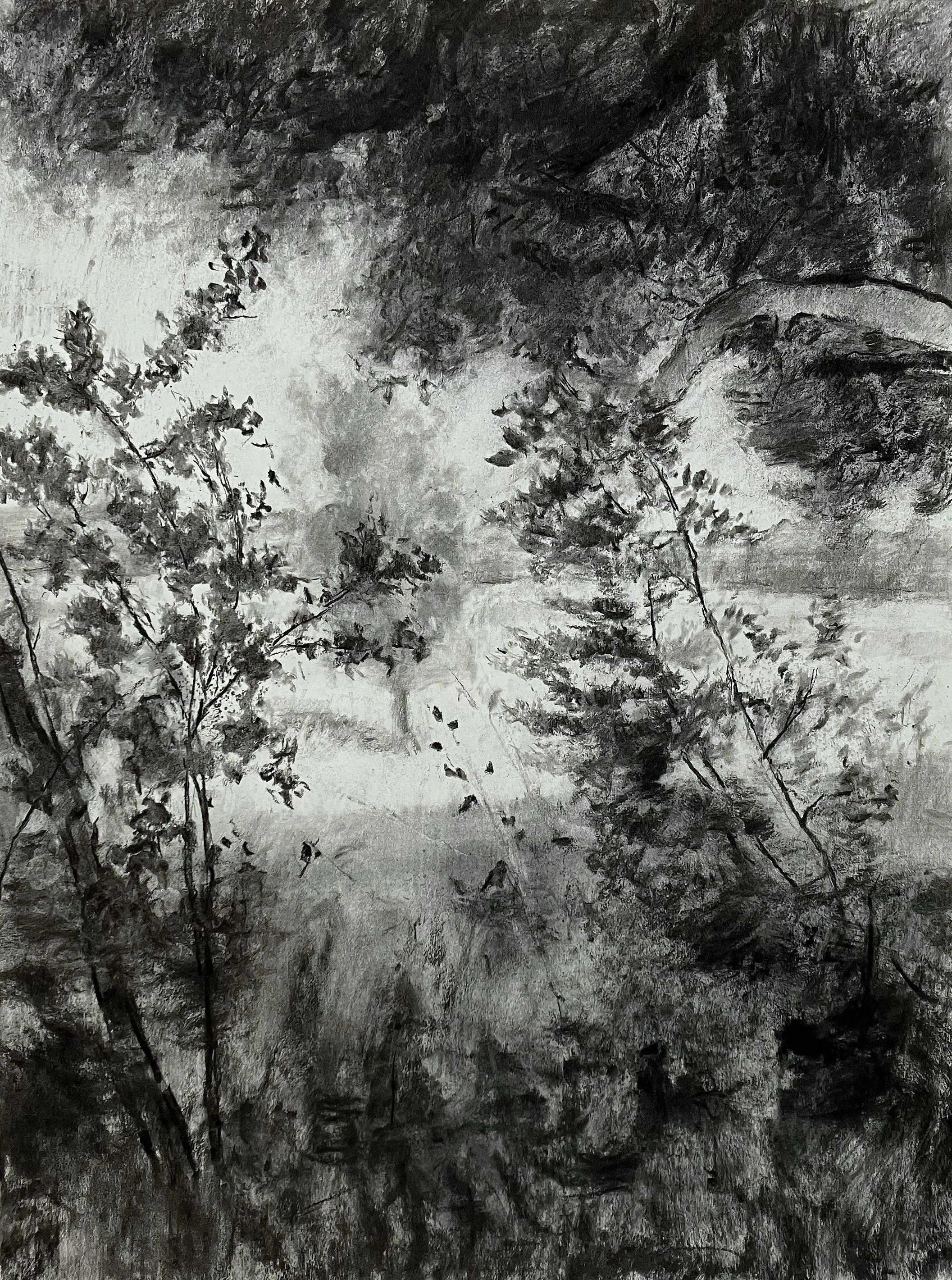 Hawthorne Drawing II