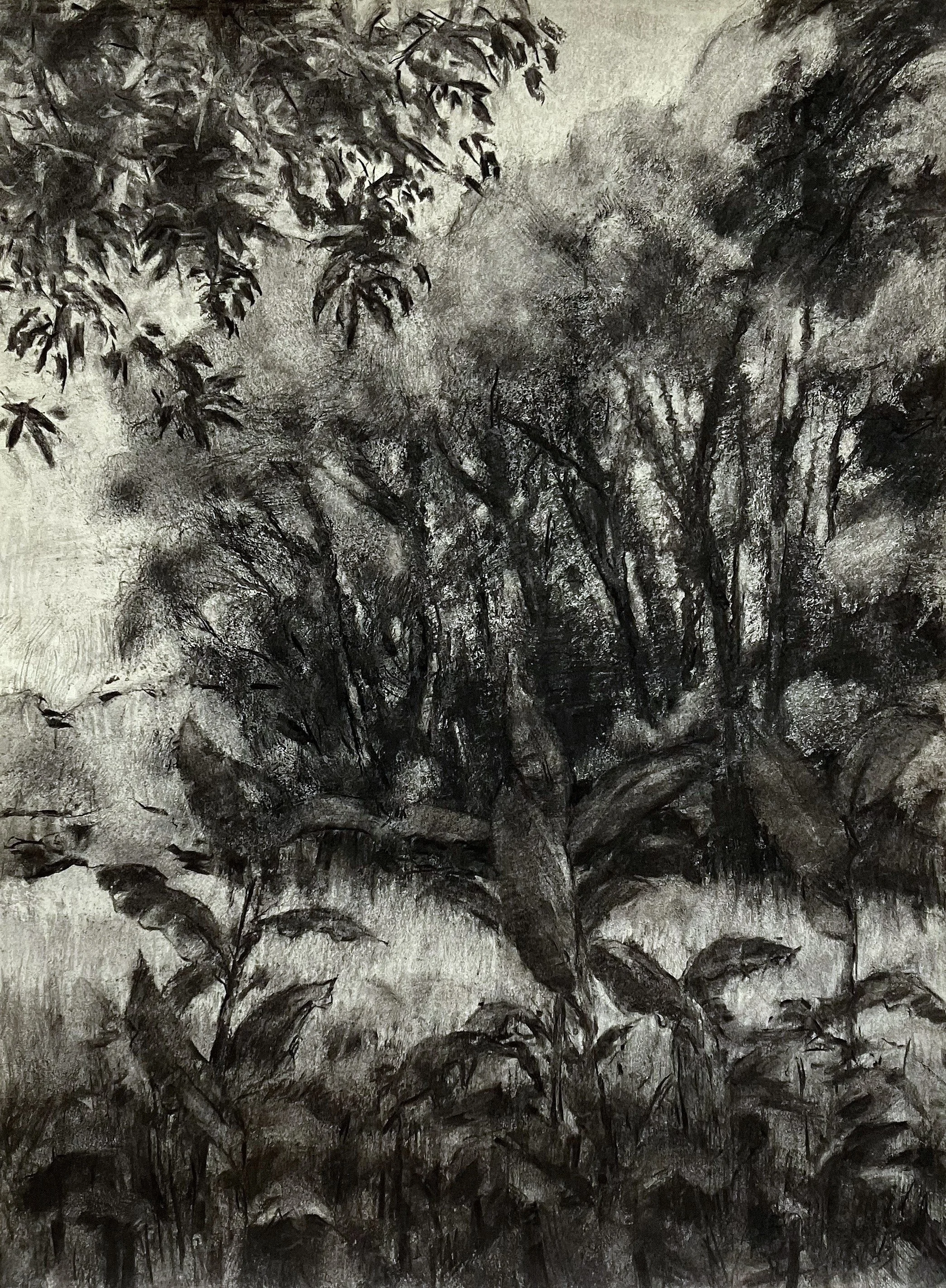 Copse Drawing I