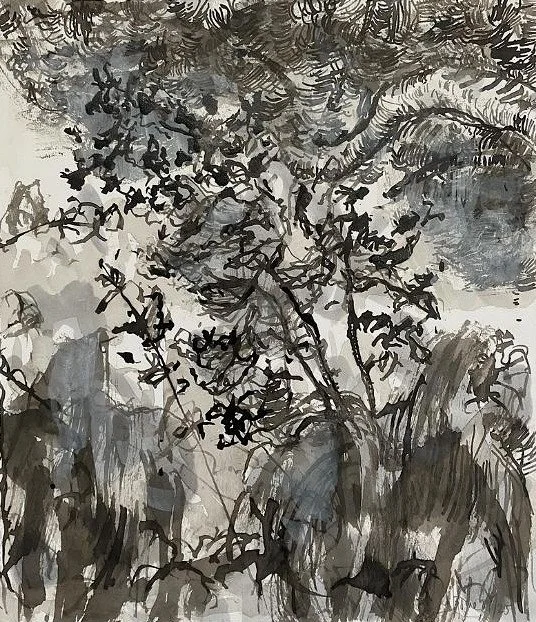 Backlight Drawing XII