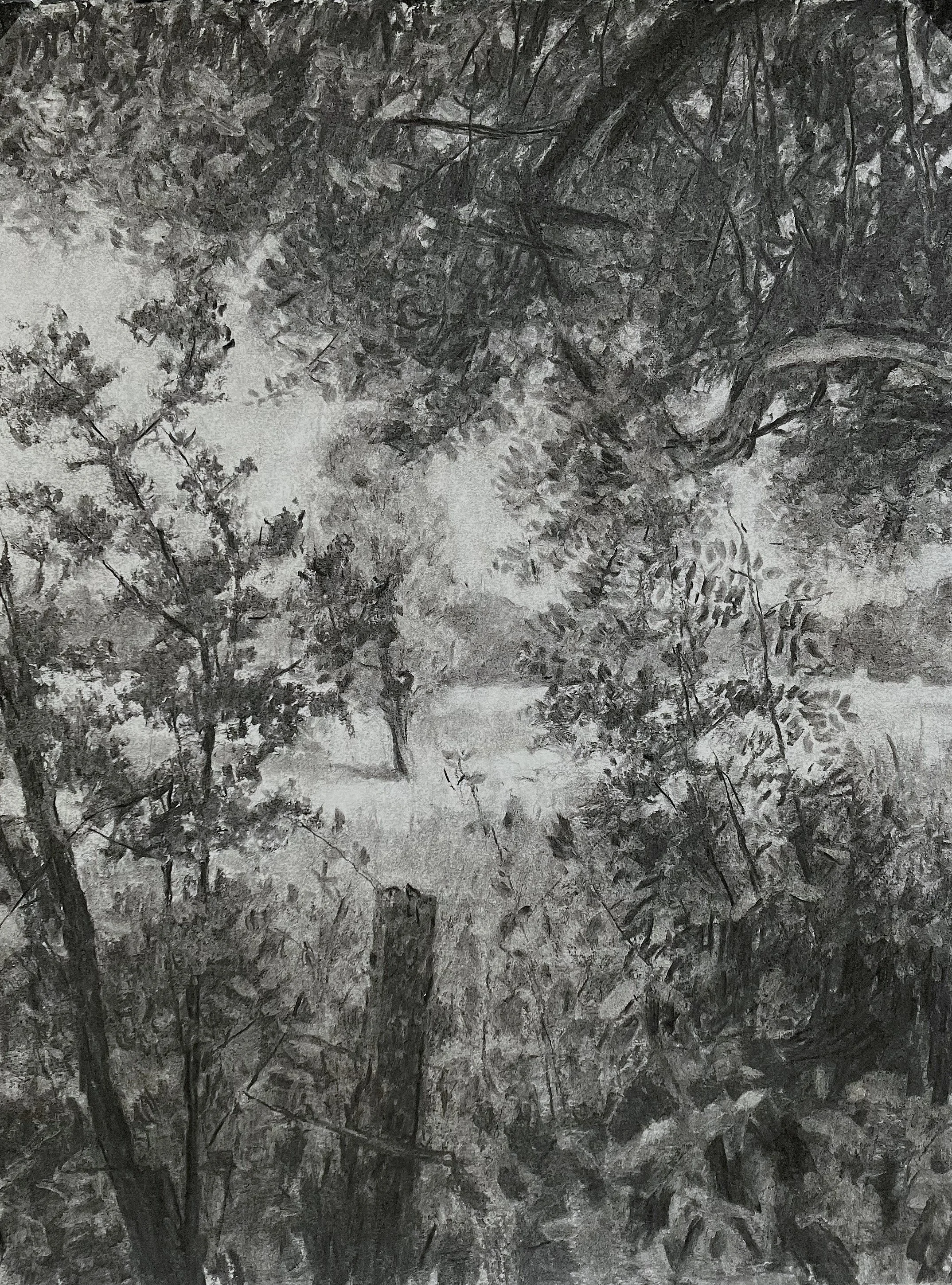 Valley Drawing II