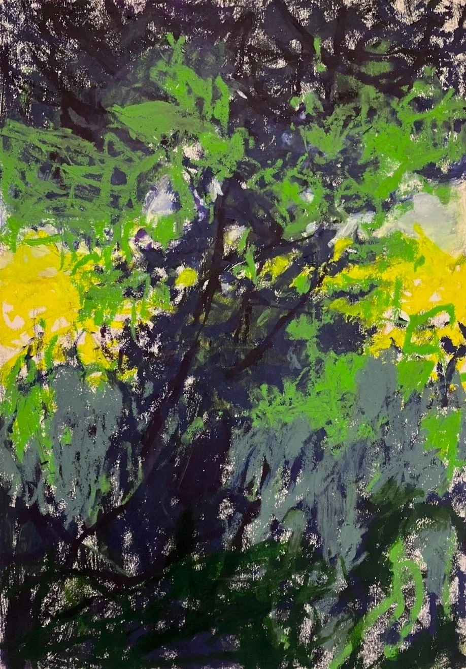 Backlight Drawing XV