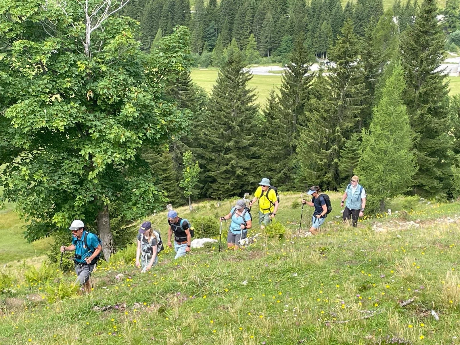 Eine Gruppe von acht Wanderern mit Rucksäcken und Wanderstöcken in einem grünen Waldgebiet bei einer Wanderung.