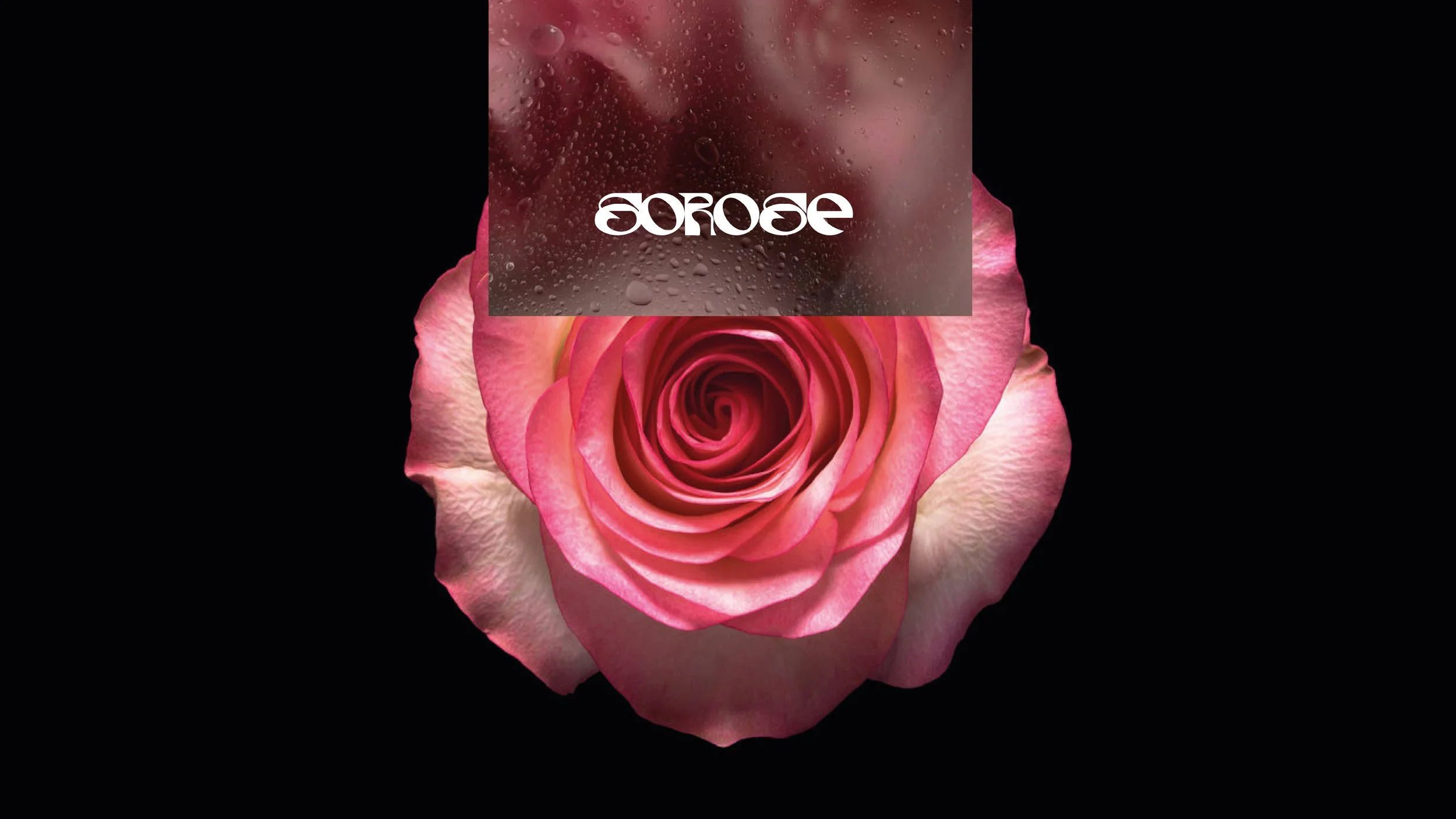 SoROse-Compil-08.jpg