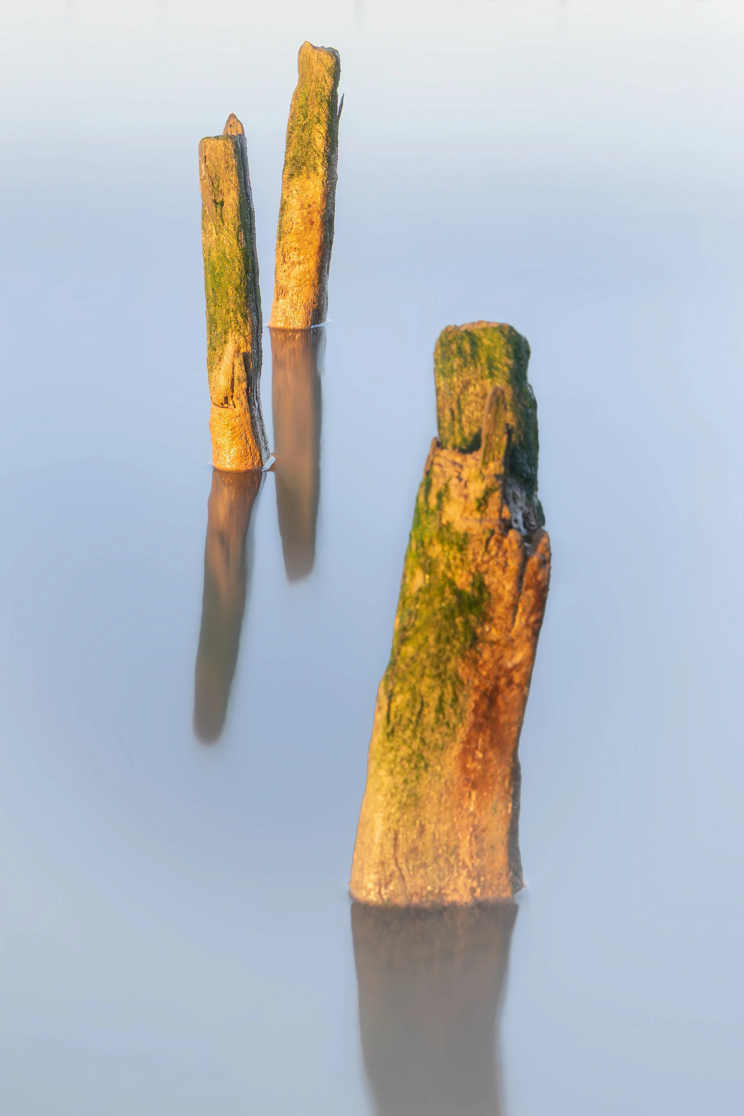 Three old wooden posts with moss and decay sticking out of calm water, reflecting a gentle sky.
