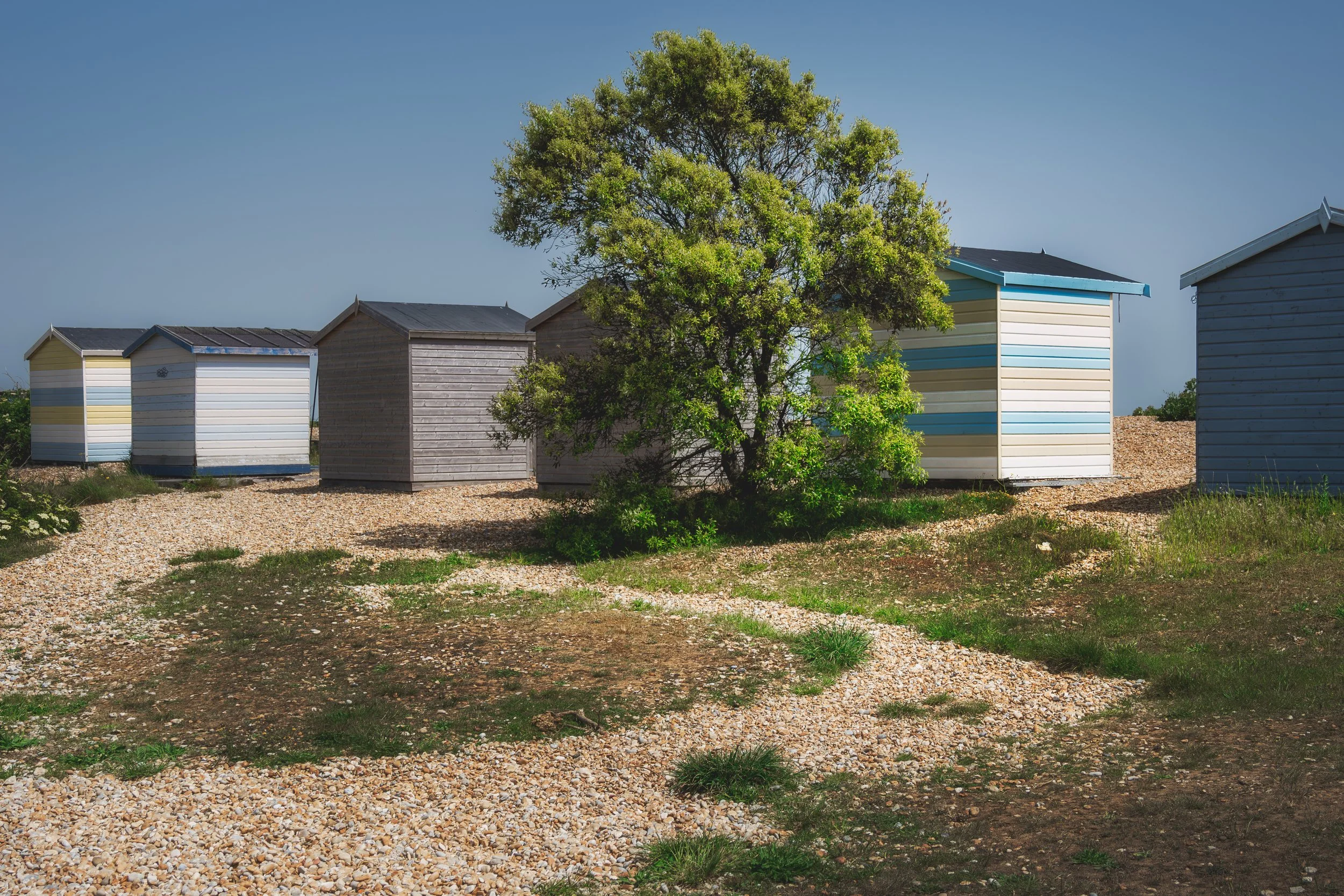 Colorful beach huts with a large green tree in front on a gravel path under a clear blue sky.