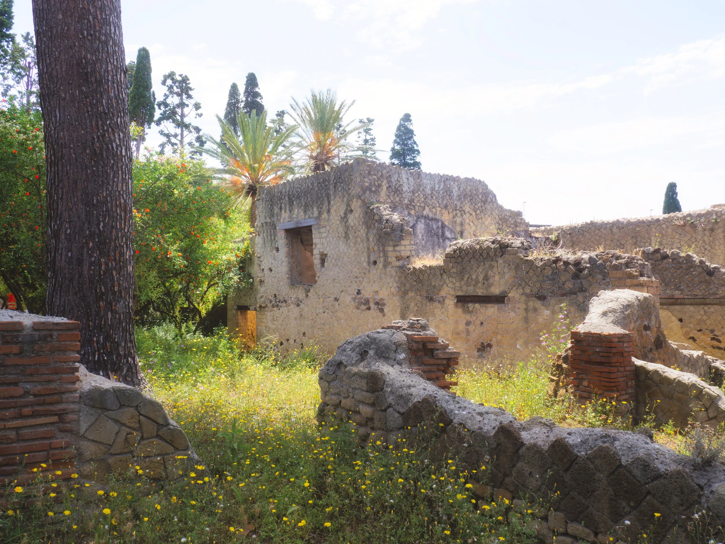 Ancient Roman Ruins in the Archaeological Site of Herculaneum, Italy.jpg