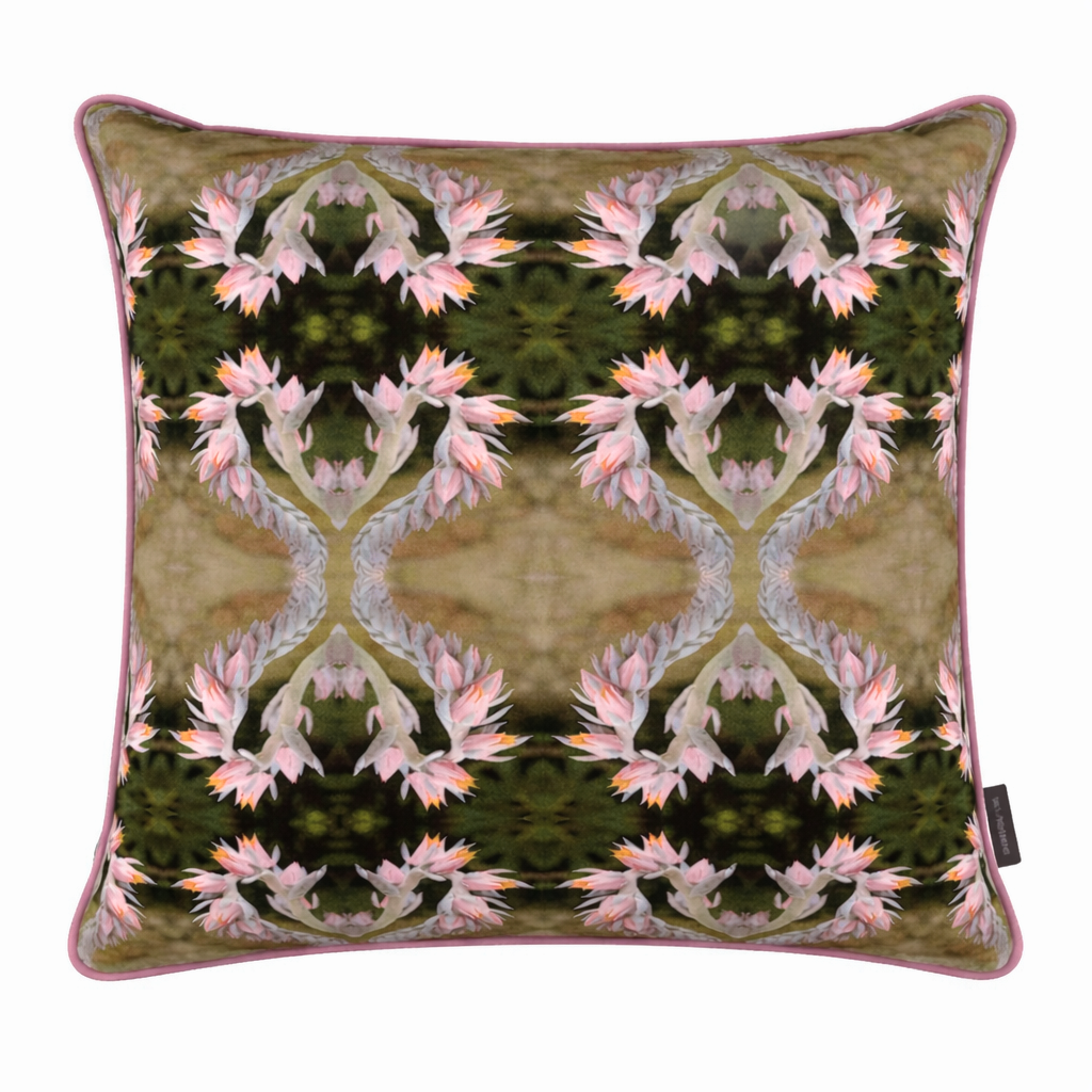 Mexican Gold Dusky Pink