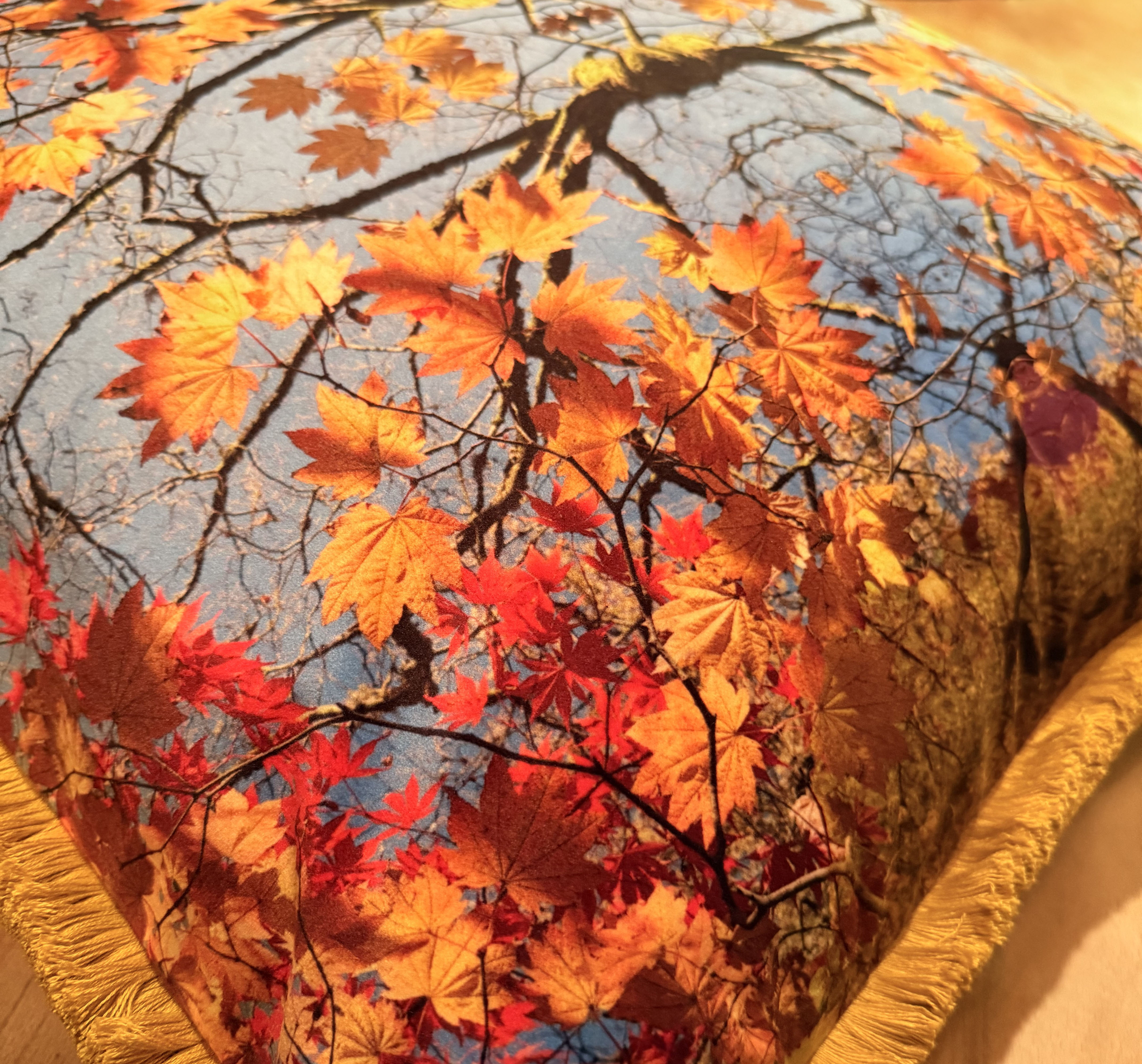 ziggati_autumnleaves_closeup.png