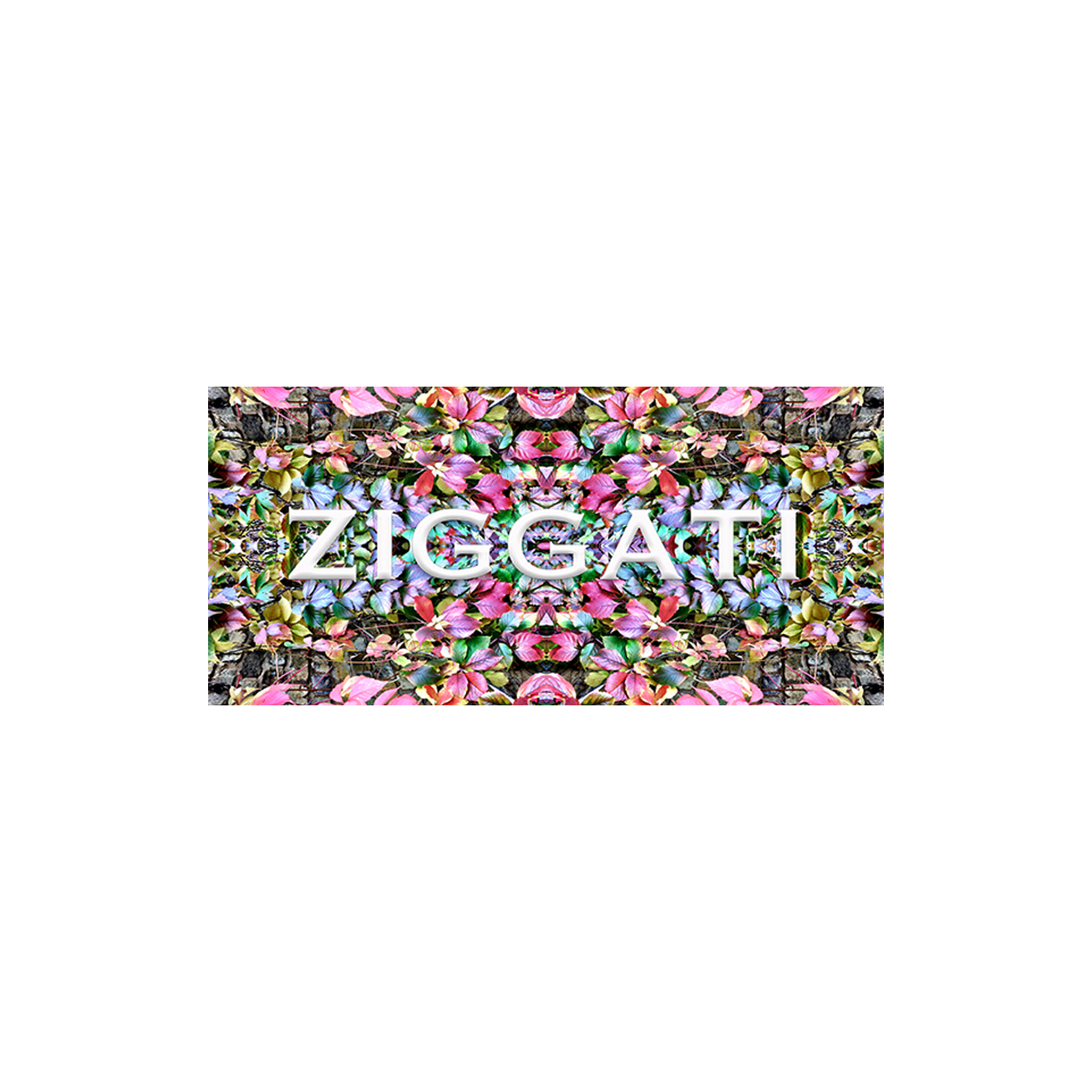 ZIGGATI Gift Card