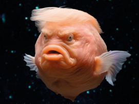 A fish with the body of a fish and a human face against a dark, starry background.