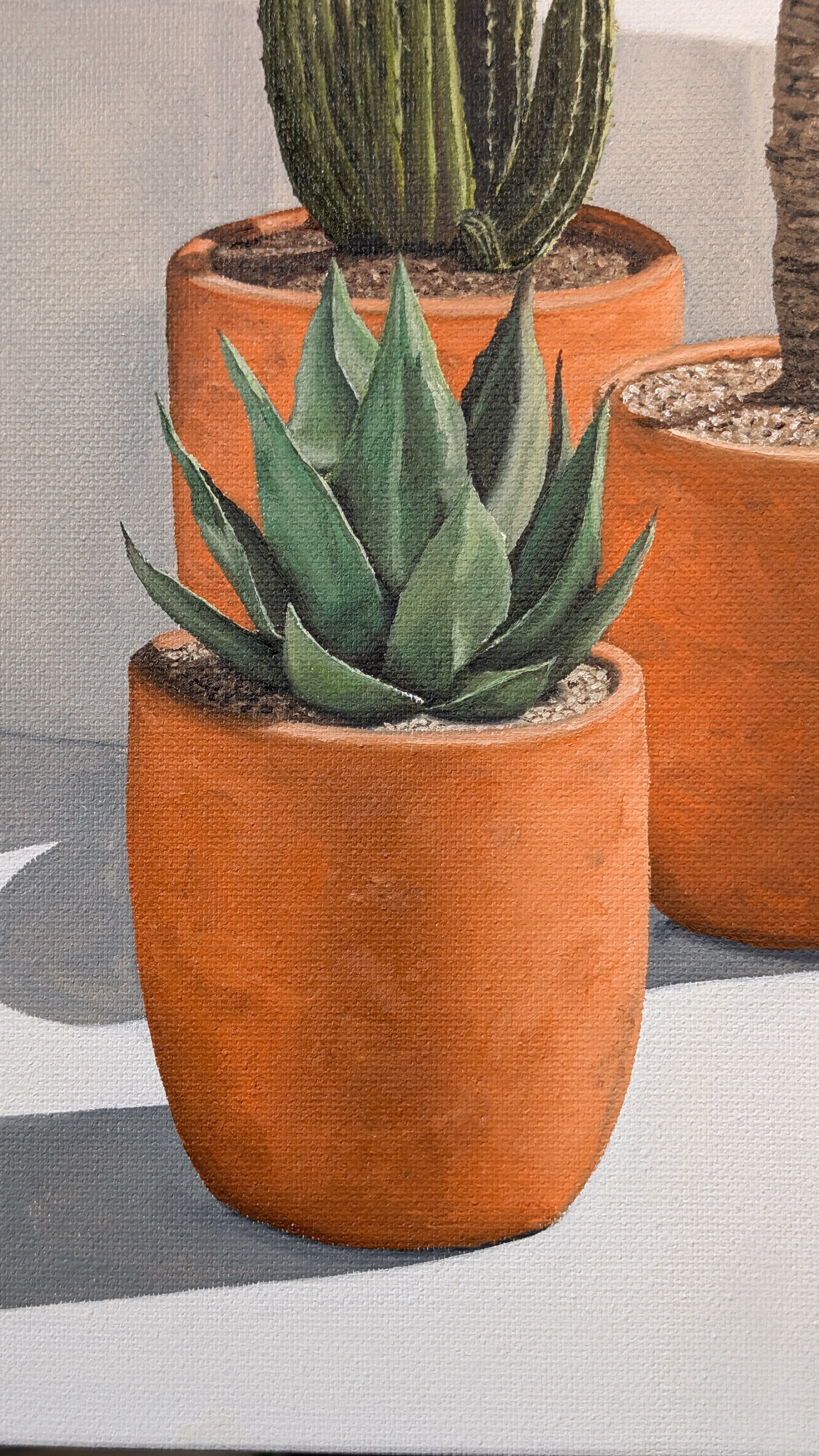 Party-of-Three-oil painting-mykanos-cacti-aloe-art-by-ahmet.jpg