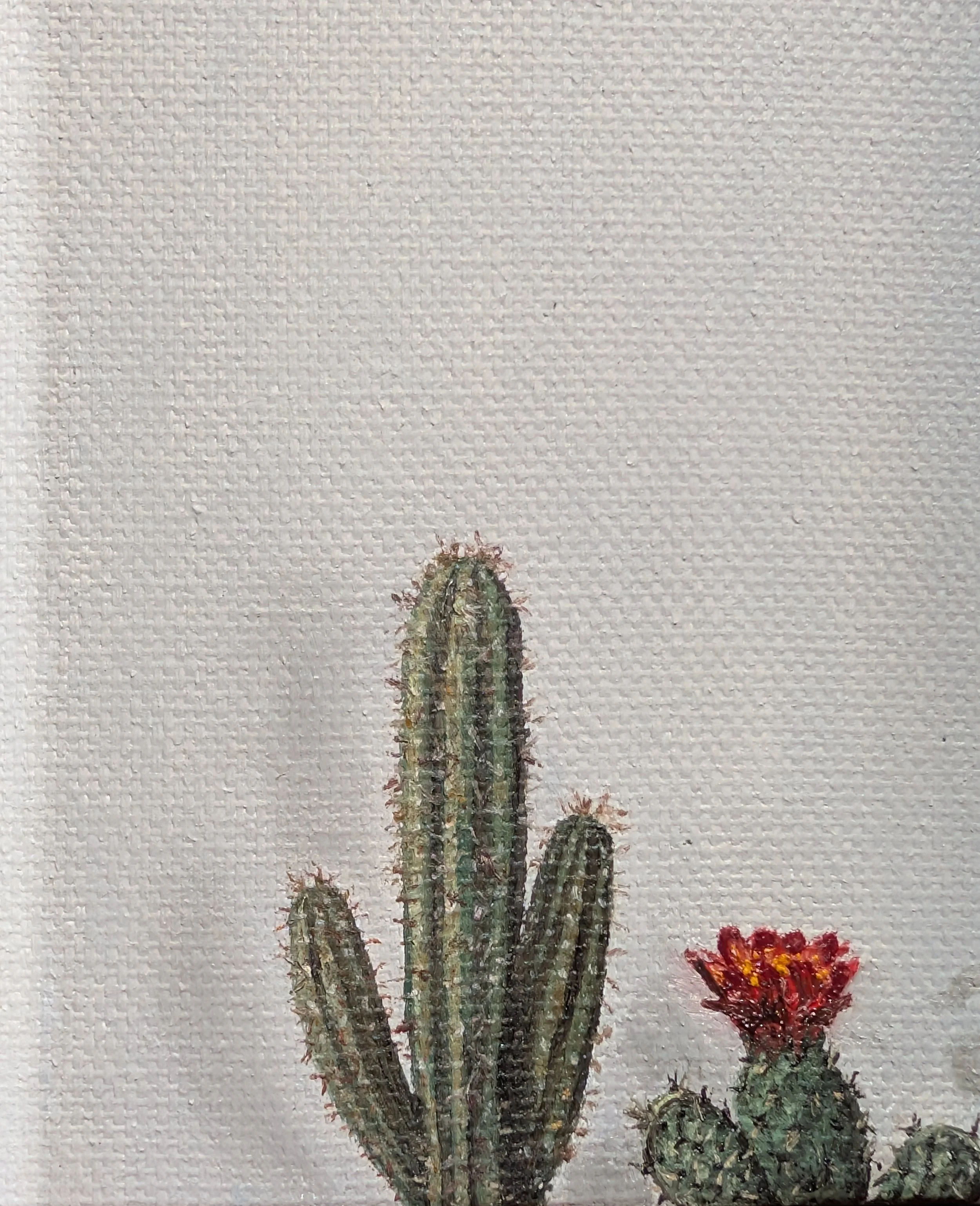 Aurea-oil-painting-cactus-sunset-art-by-ahmet.jpg