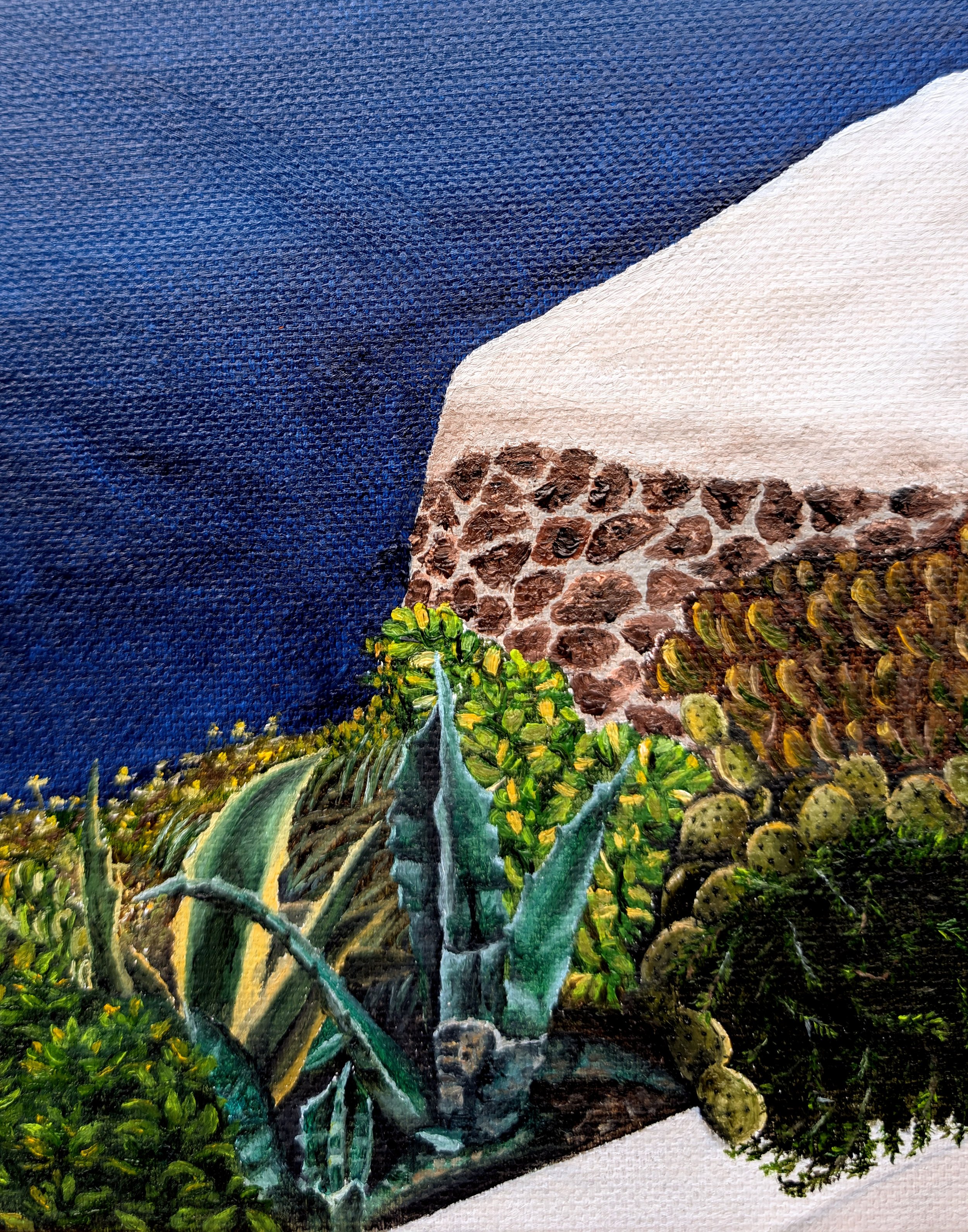 Where-time-stands-still-cacti-wall-santorini-oil-painting-art-by-ahmet.jpg