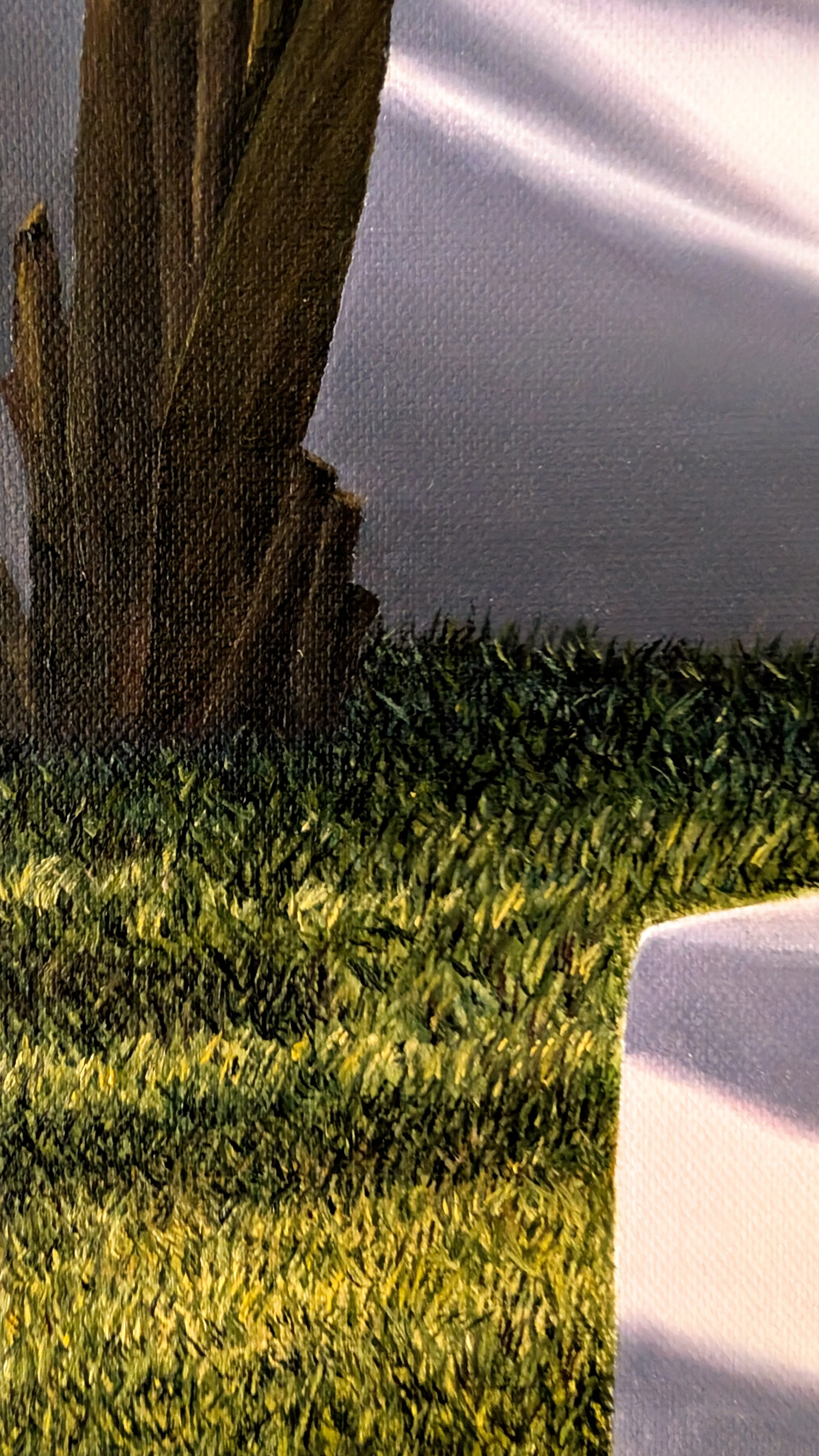 Golden-Neighbours-No-8-oil-painting-grass-shadow-roots-artbyahmet.jpg