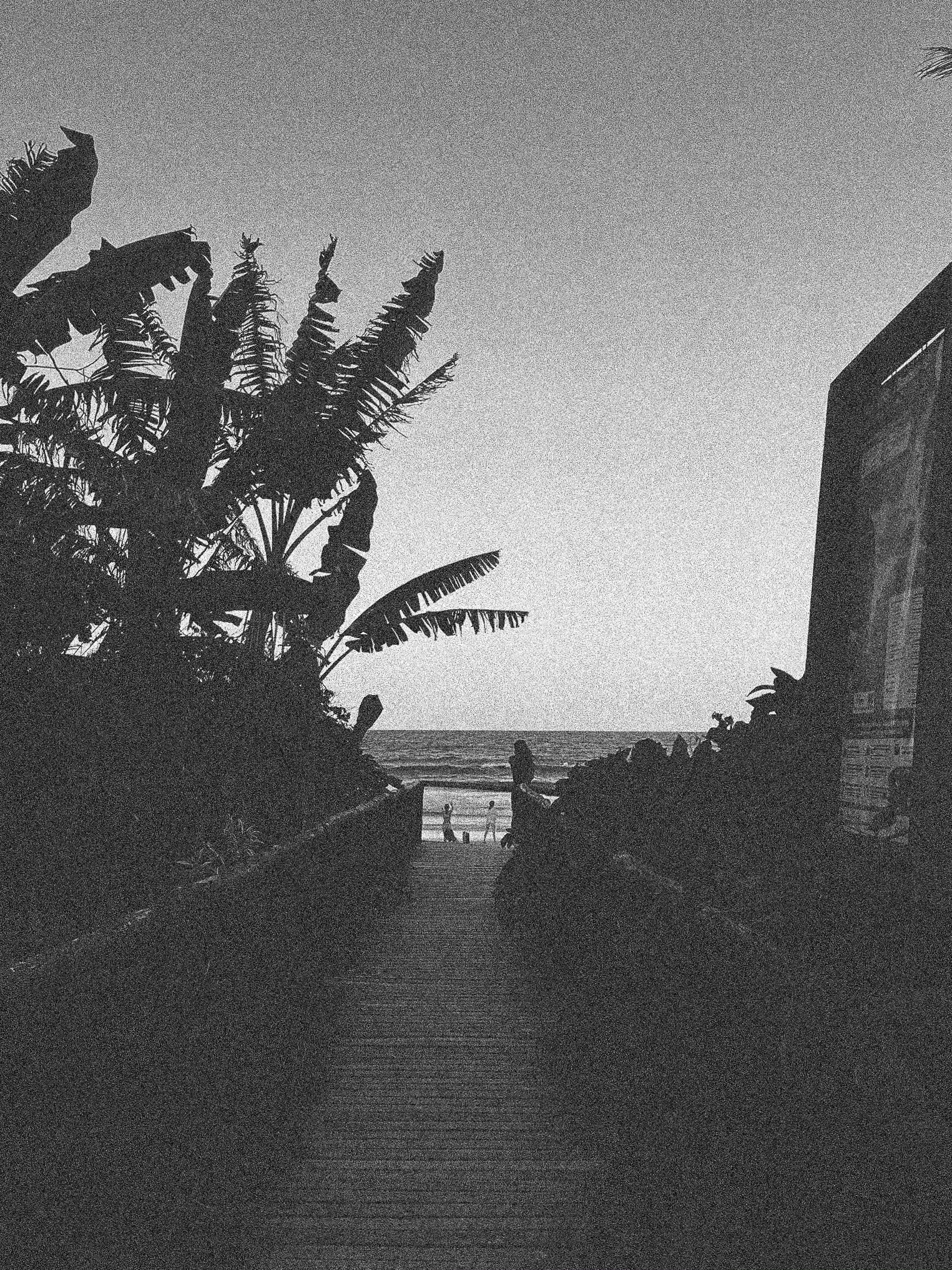 Imagem em preto e branco de uma praia ao entardecer com silhuetas de palmeiras, uma pessoa caminhando na areia, uma criança brincando e uma construção ao lado, com céu nublado.