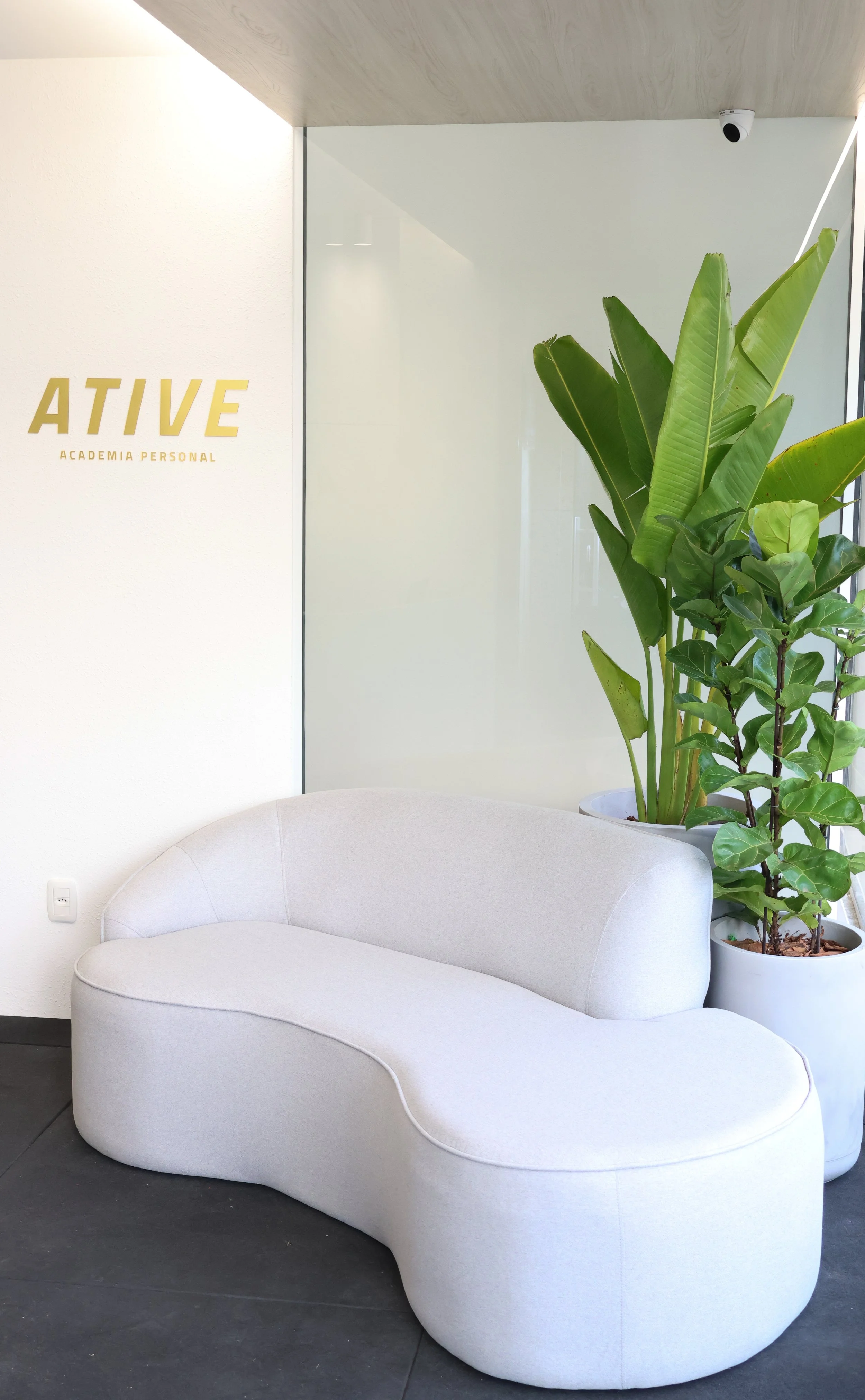 Sofá branco em uma sala de espera com planta grande ao lado e parede com o logo "ACTIVE Academia Personal" ao fundo.