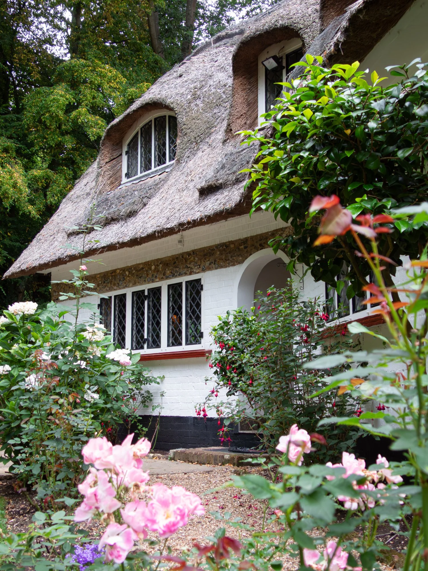 Front of an english cottage surrounded by flowers & roses