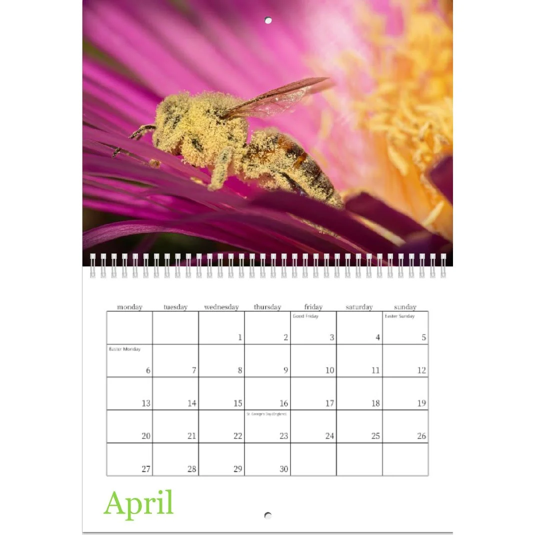 Screenshot 2026-01-29 at 17.06.jpg