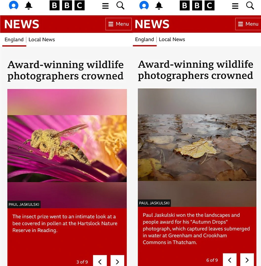 Paul Jaskulski Insect & Landscape awarded images featured in BBC News article