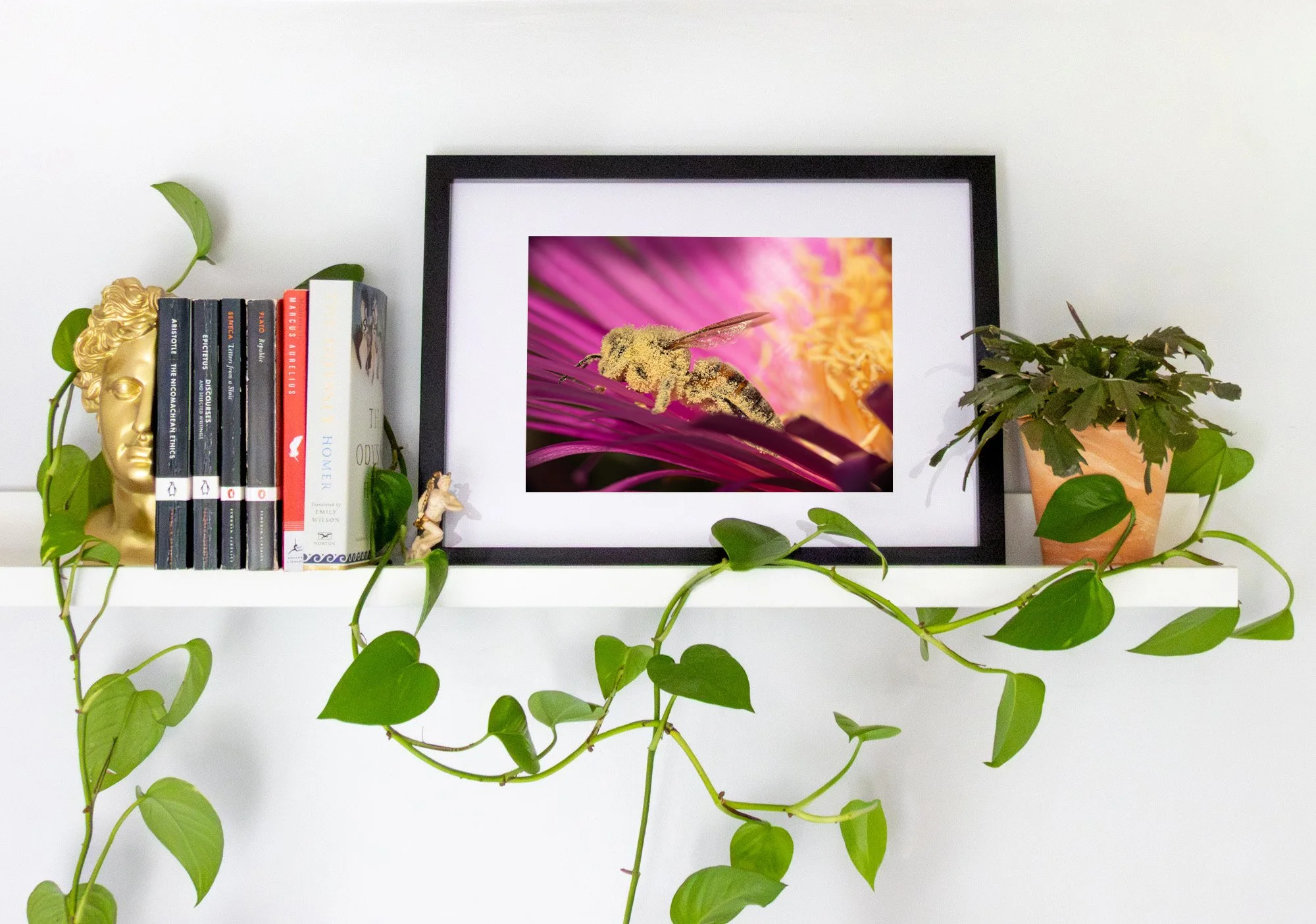Decorative white shelf with a framed close-up photo of a bee on a pink flower in the center, flanked by a row of books on the left and potted plants on both ends, with a gold bust sculpture on the left and green vine plants hanging down.