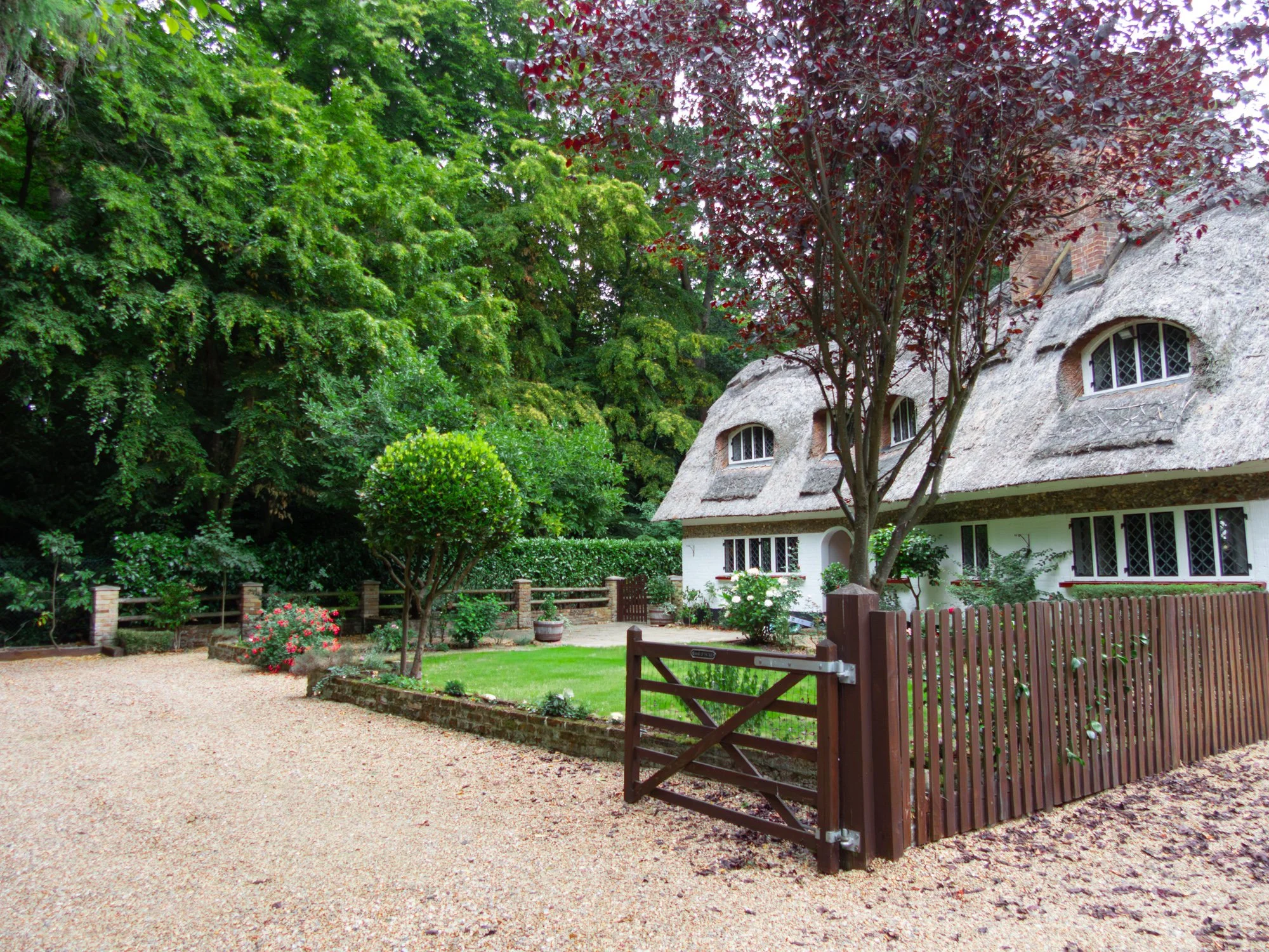 A picturesque cottage with a thatched roof, surrounded by lush green trees and a small garden fenced with wooden pickets, with a gravel driveway in the foreground.