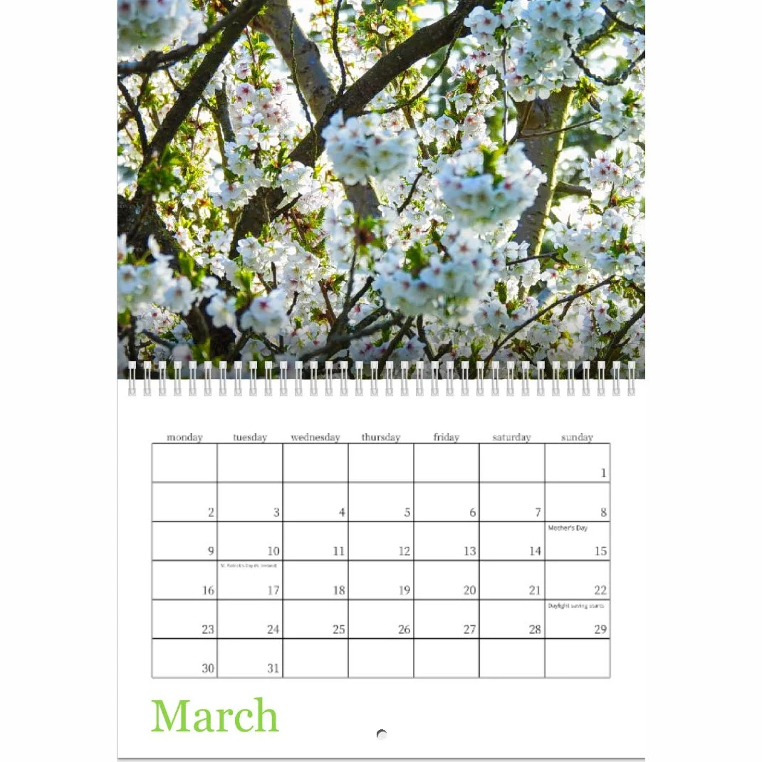 Screenshot 2026-01-29 at 17.05.jpg