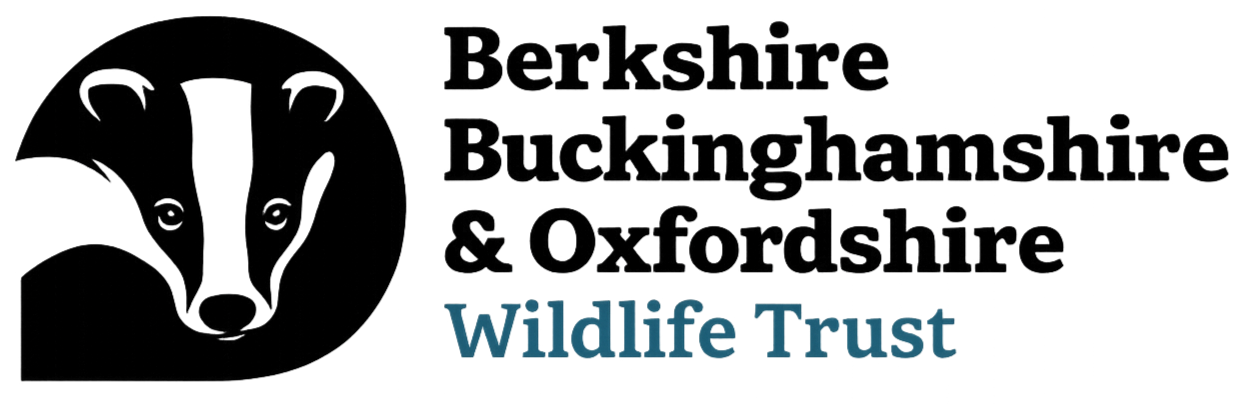 Black and white logo with a silhouette of a fork on the left, and the text 'Midlife Trust' in blue on the right.