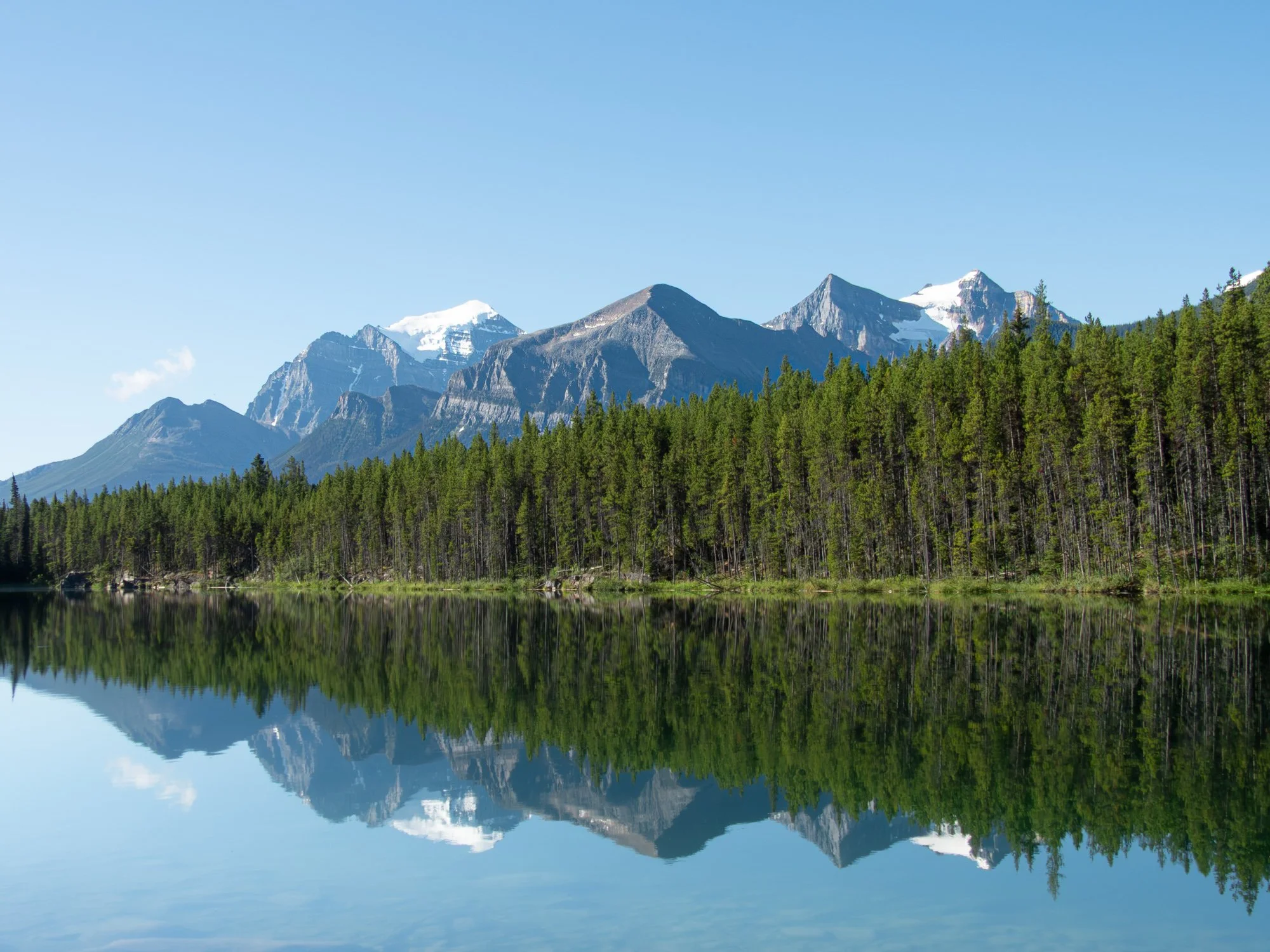 Canadian mountains with horizontal green treeline in front and lake reflection in foreground
