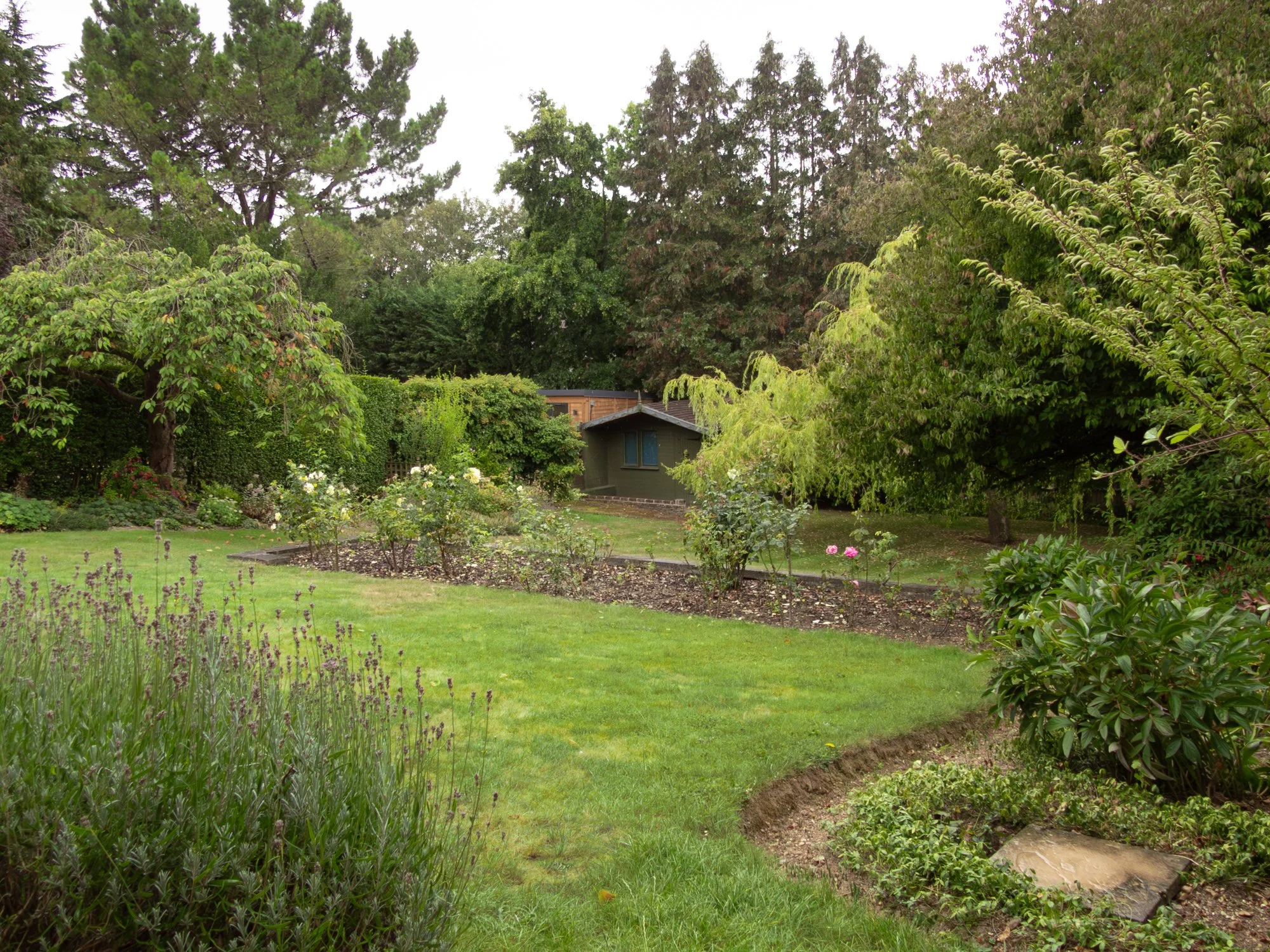 A lush garden with green grass, flowering bushes, and trees, with a small building or shed in the background.