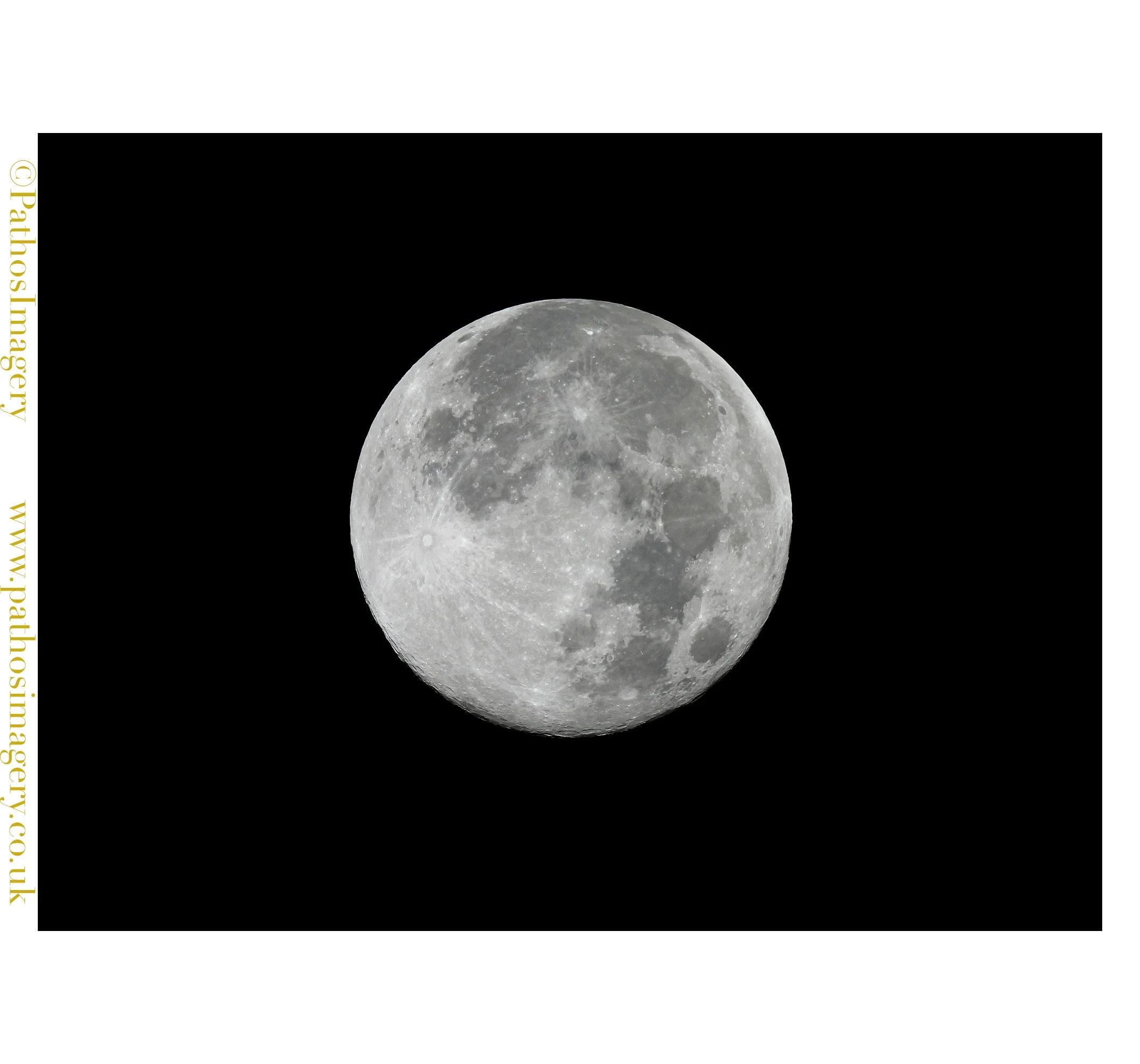 Wolf Super-Moon 2026