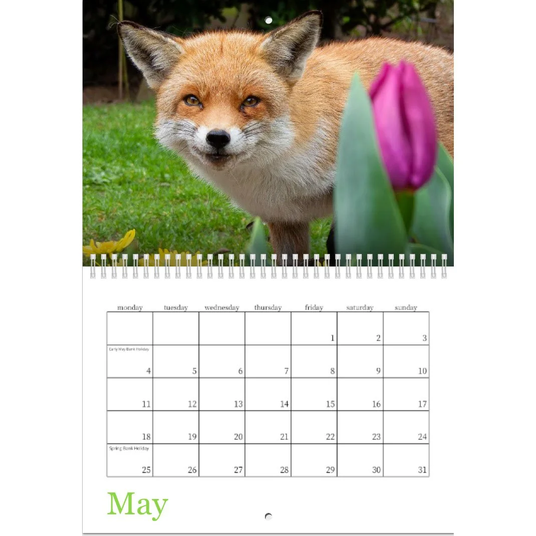 Screenshot 2026-01-29 at 17.03.jpg