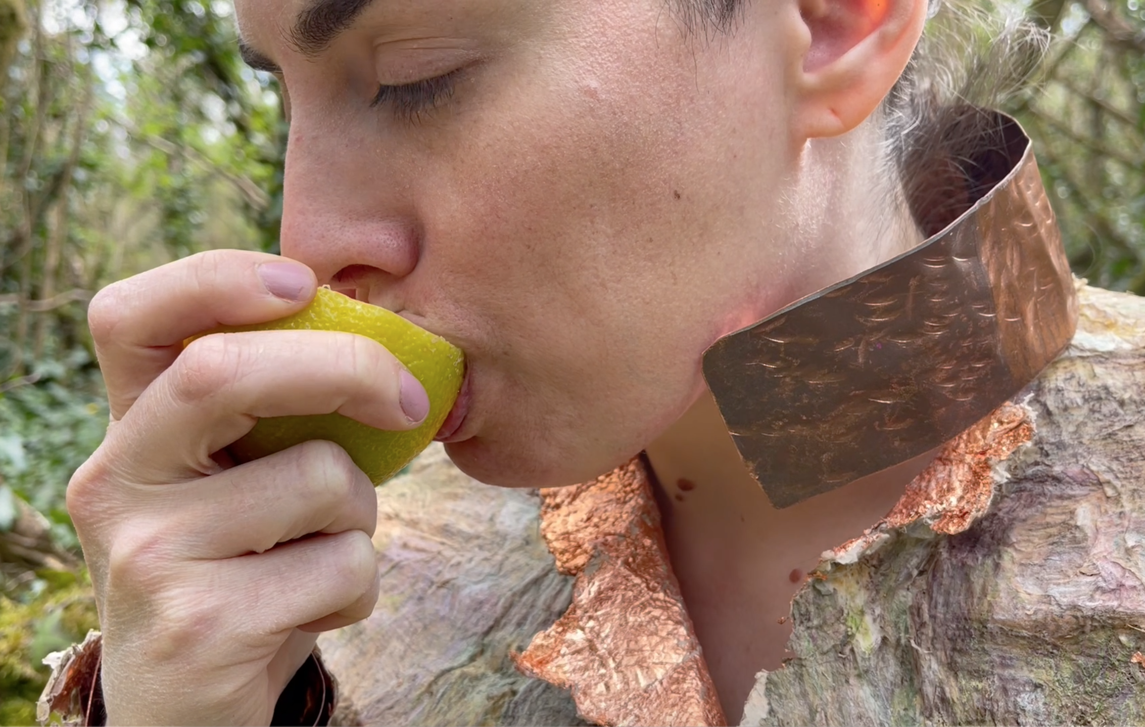 WInter Always Turns to Spring